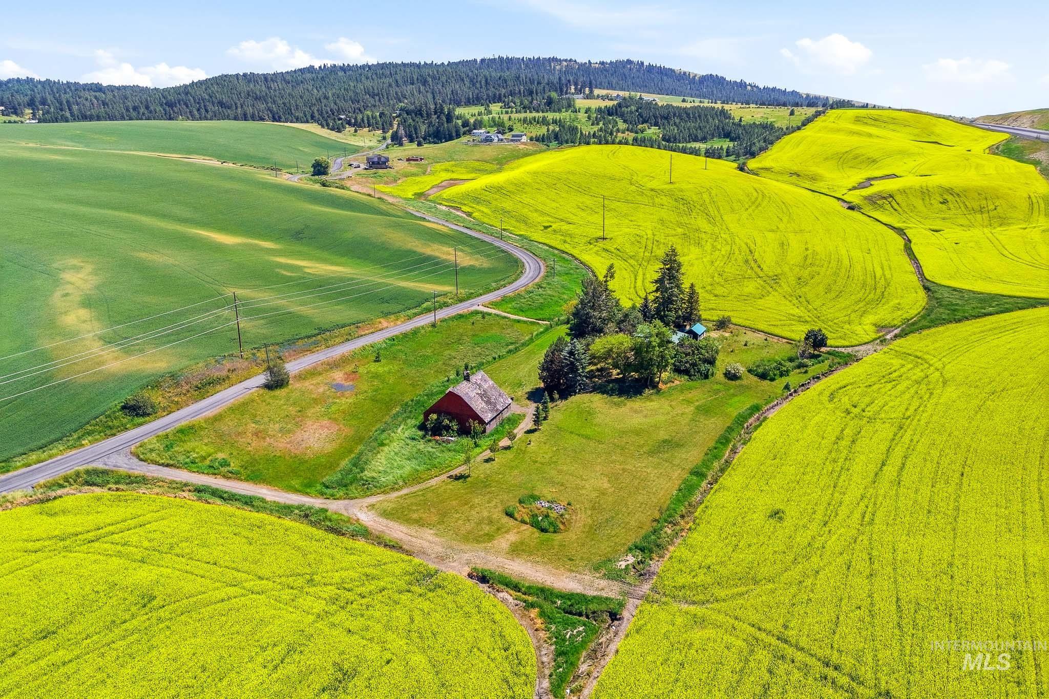 1185 Paradise Ridge Rd, Moscow, Idaho 83843, 4 Bedrooms, 2 Bathrooms, Residential For Sale, Price $540,000,MLS 98990869