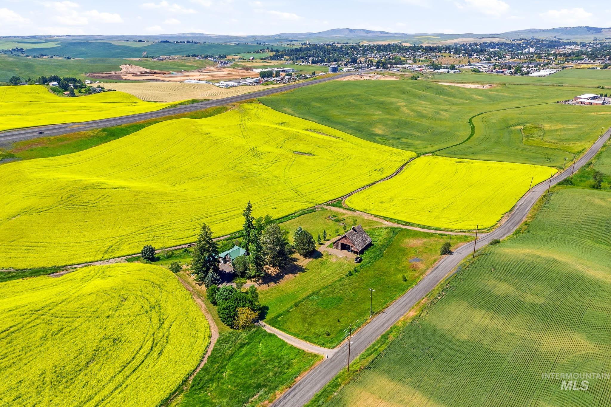1185 Paradise Ridge Rd, Moscow, Idaho 83843, 4 Bedrooms, 2 Bathrooms, Residential For Sale, Price $540,000,MLS 98990869
