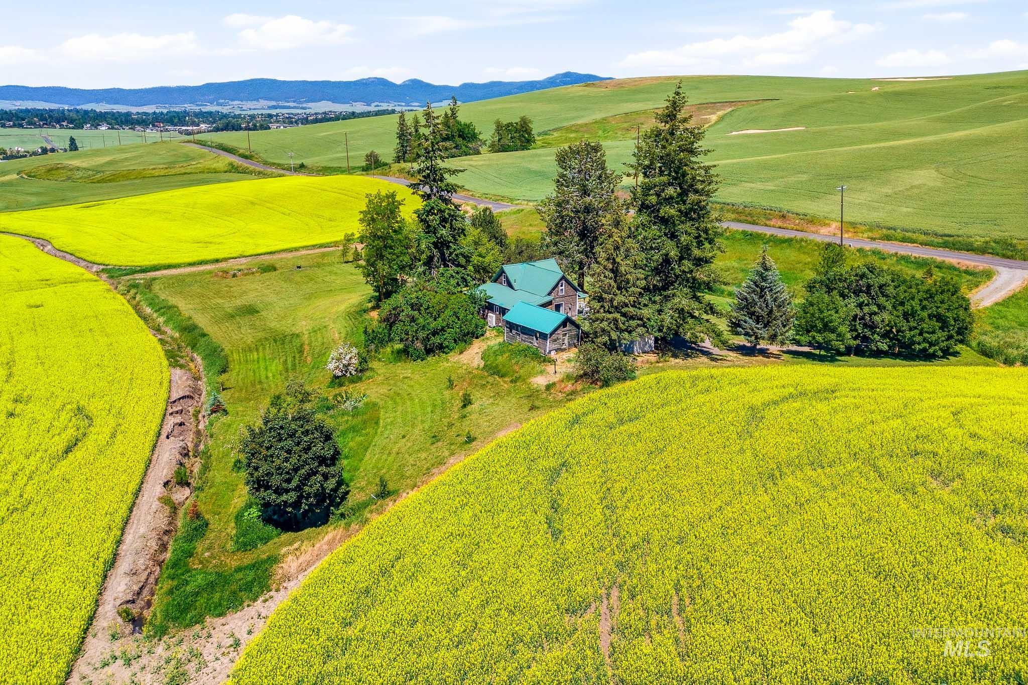 1185 Paradise Ridge Rd, Moscow, Idaho 83843, 4 Bedrooms, 2 Bathrooms, Residential For Sale, Price $540,000,MLS 98990869