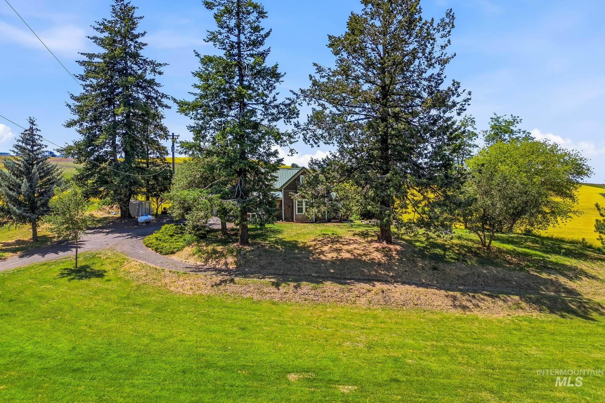 1185 Paradise Ridge Rd, Moscow, Idaho 83843, 4 Bedrooms, 2 Bathrooms, Residential For Sale, Price $540,000,MLS 98990869