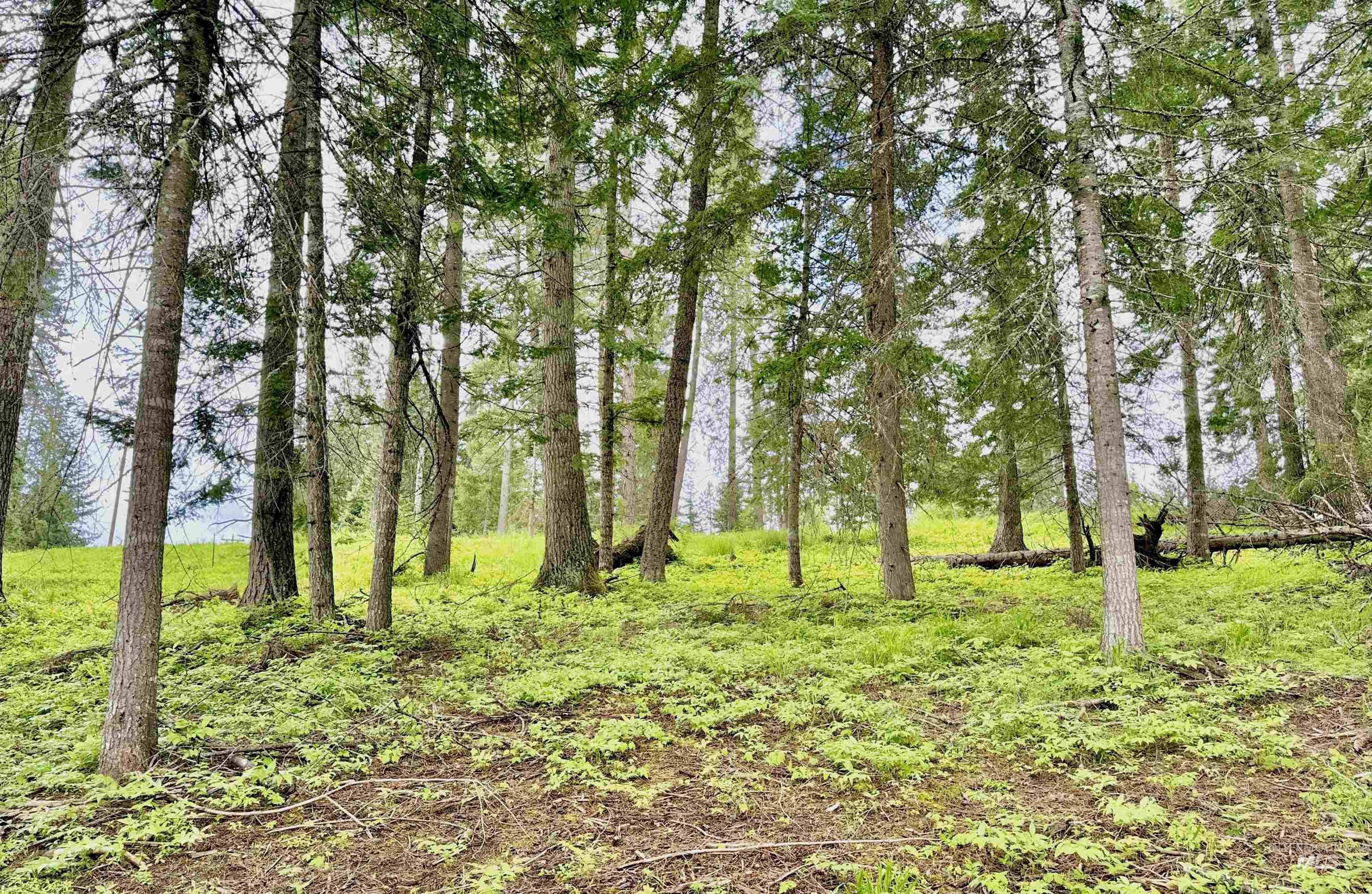 15798 N Sportsman Park Rd, Hayden, Idaho 83835, Land For Sale, Price $1,225,000,MLS 98990873