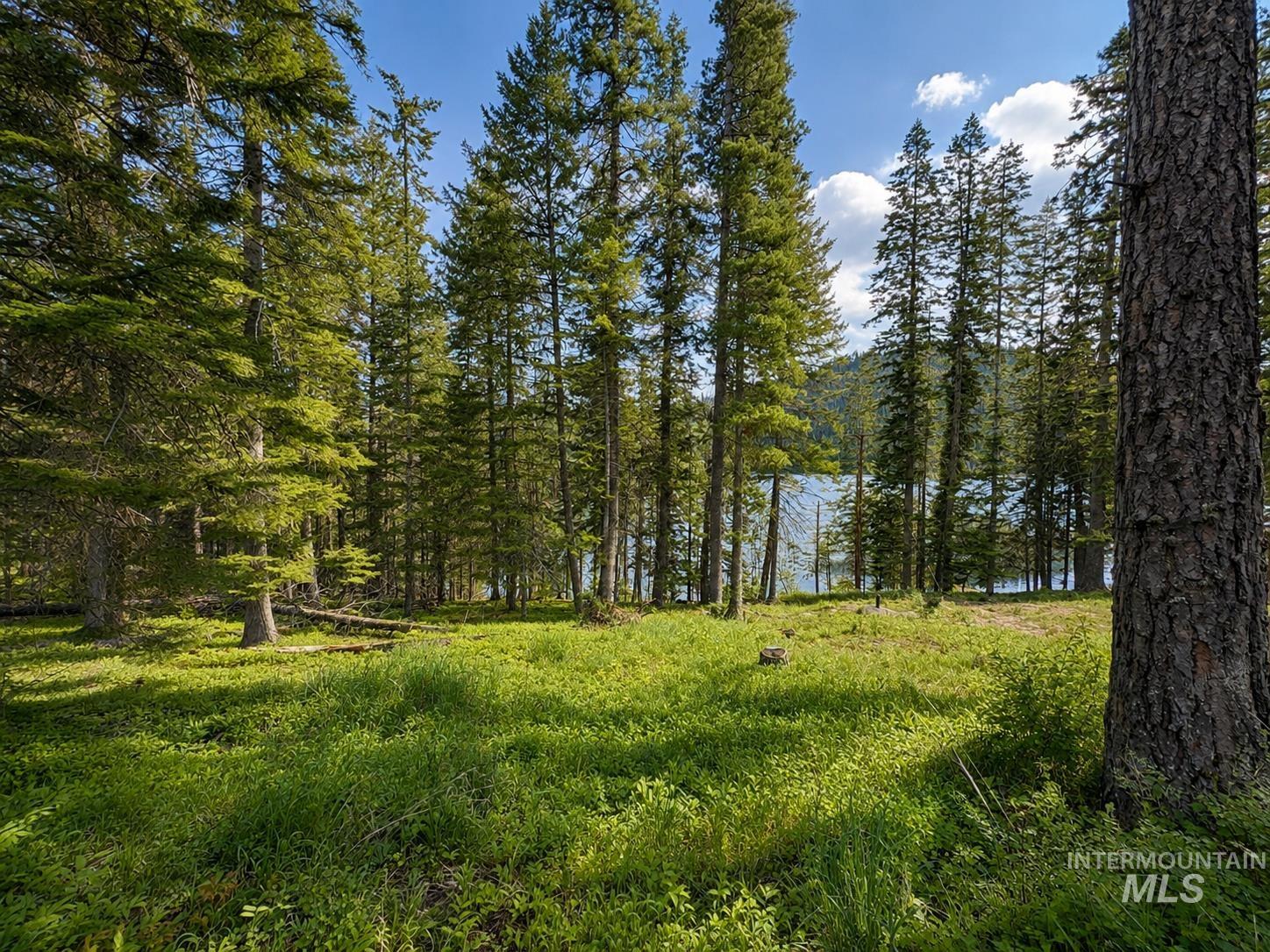 15798 N Sportsman Park Rd, Hayden, Idaho 83835, Land For Sale, Price $1,225,000,MLS 98990873