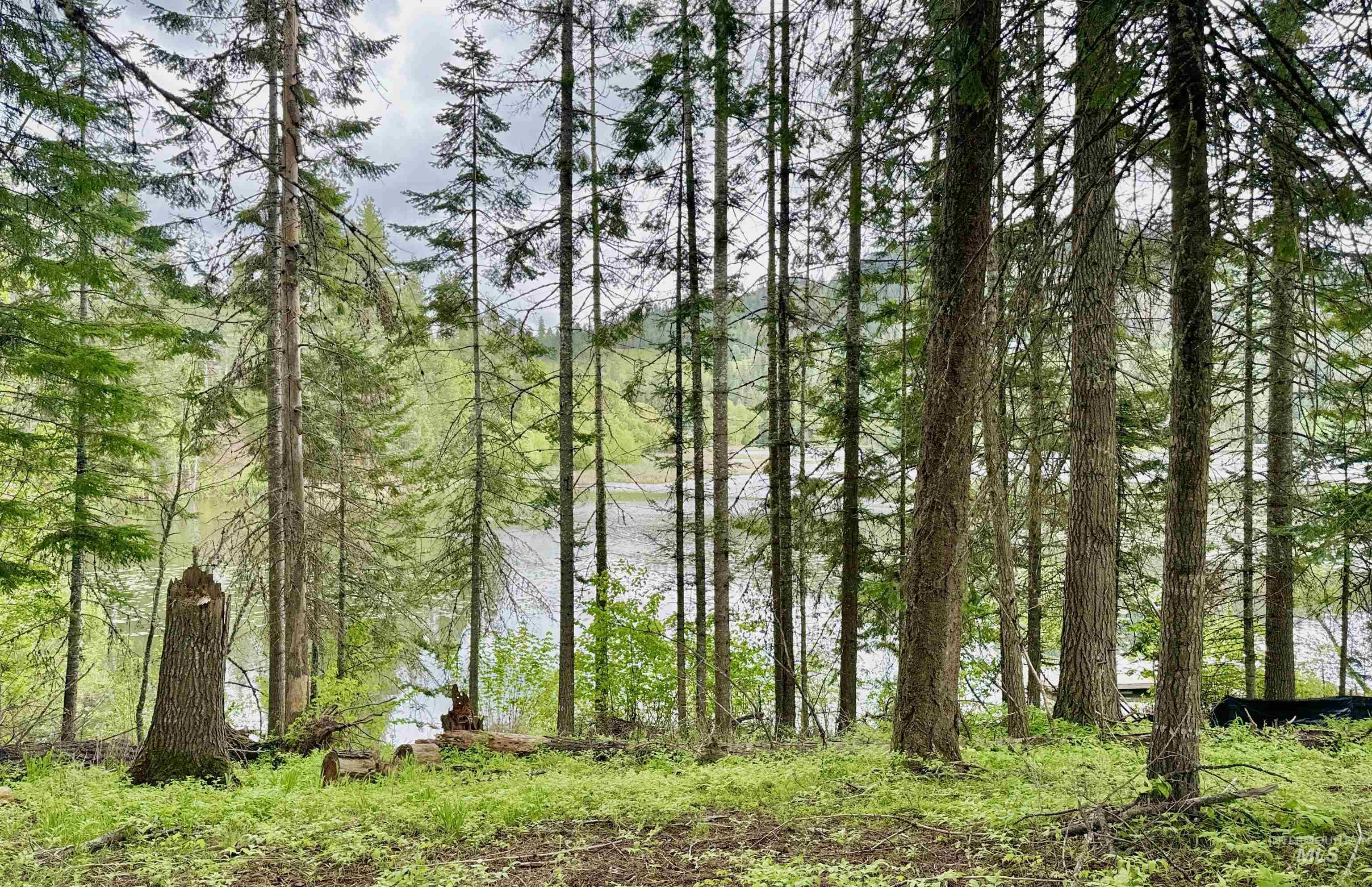 15798 N Sportsman Park Rd, Hayden, Idaho 83835, Land For Sale, Price $1,225,000,MLS 98990873