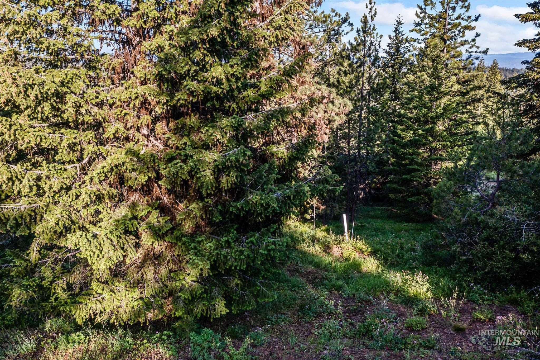 TBD Harrington Place, McCall, Idaho 83638, Land For Sale, Price $500,000,MLS 98990909