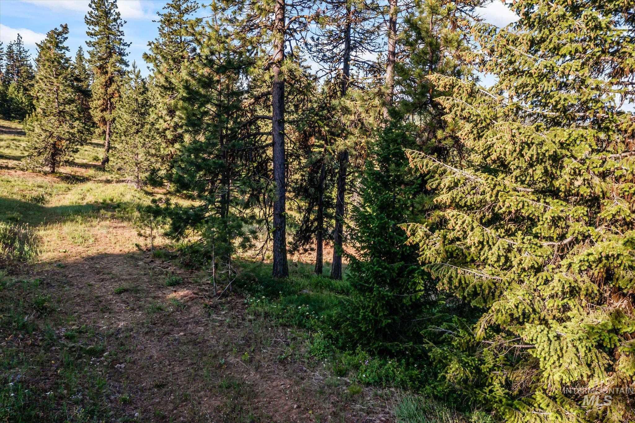 TBD Harrington Place, McCall, Idaho 83638, Land For Sale, Price $500,000,MLS 98990909