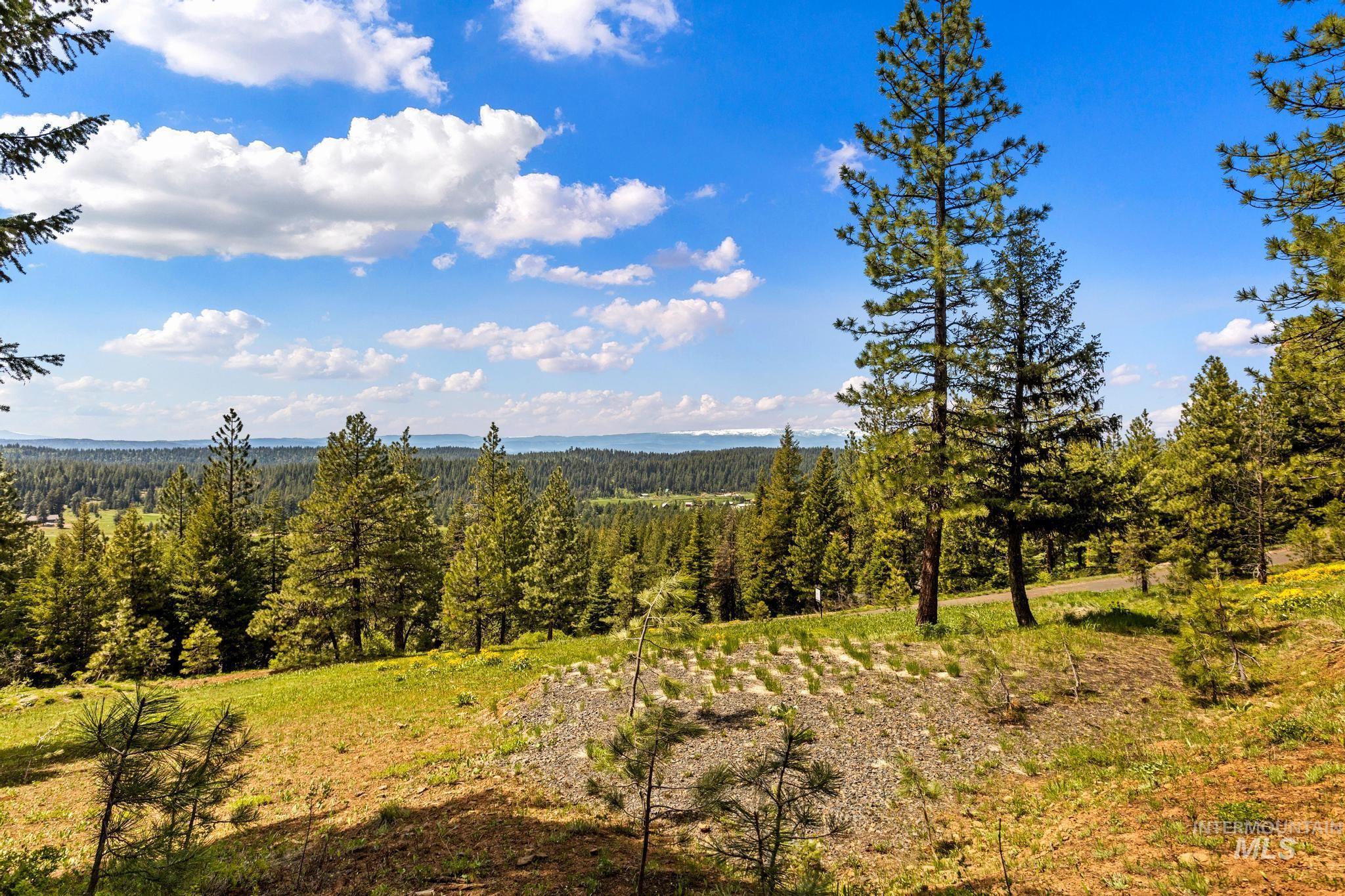 TBD Harrington Place, McCall, Idaho 83638, Land For Sale, Price $500,000,MLS 98990909