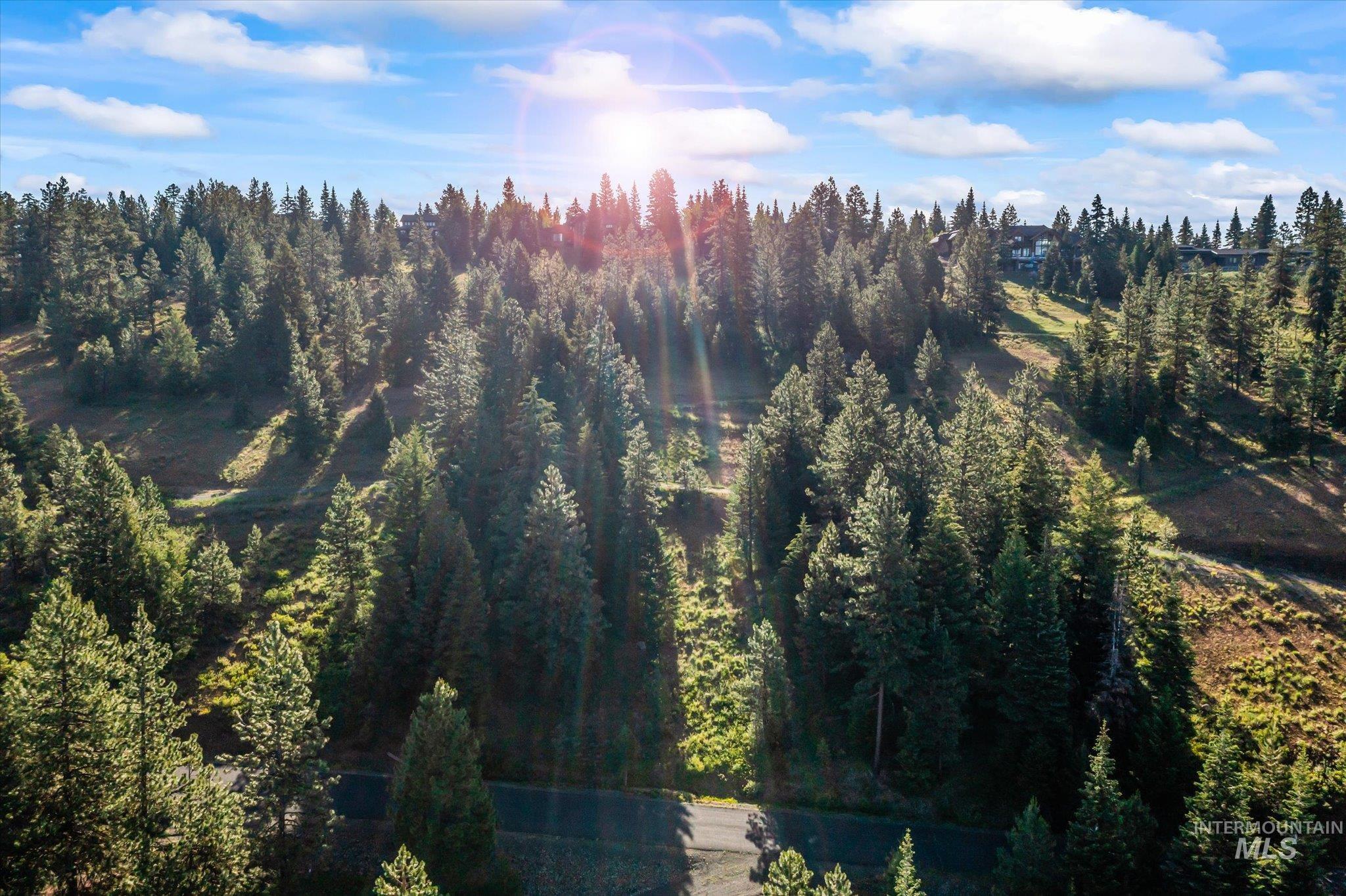 TBD Harrington Place, McCall, Idaho 83638, Land For Sale, Price $500,000,MLS 98990909