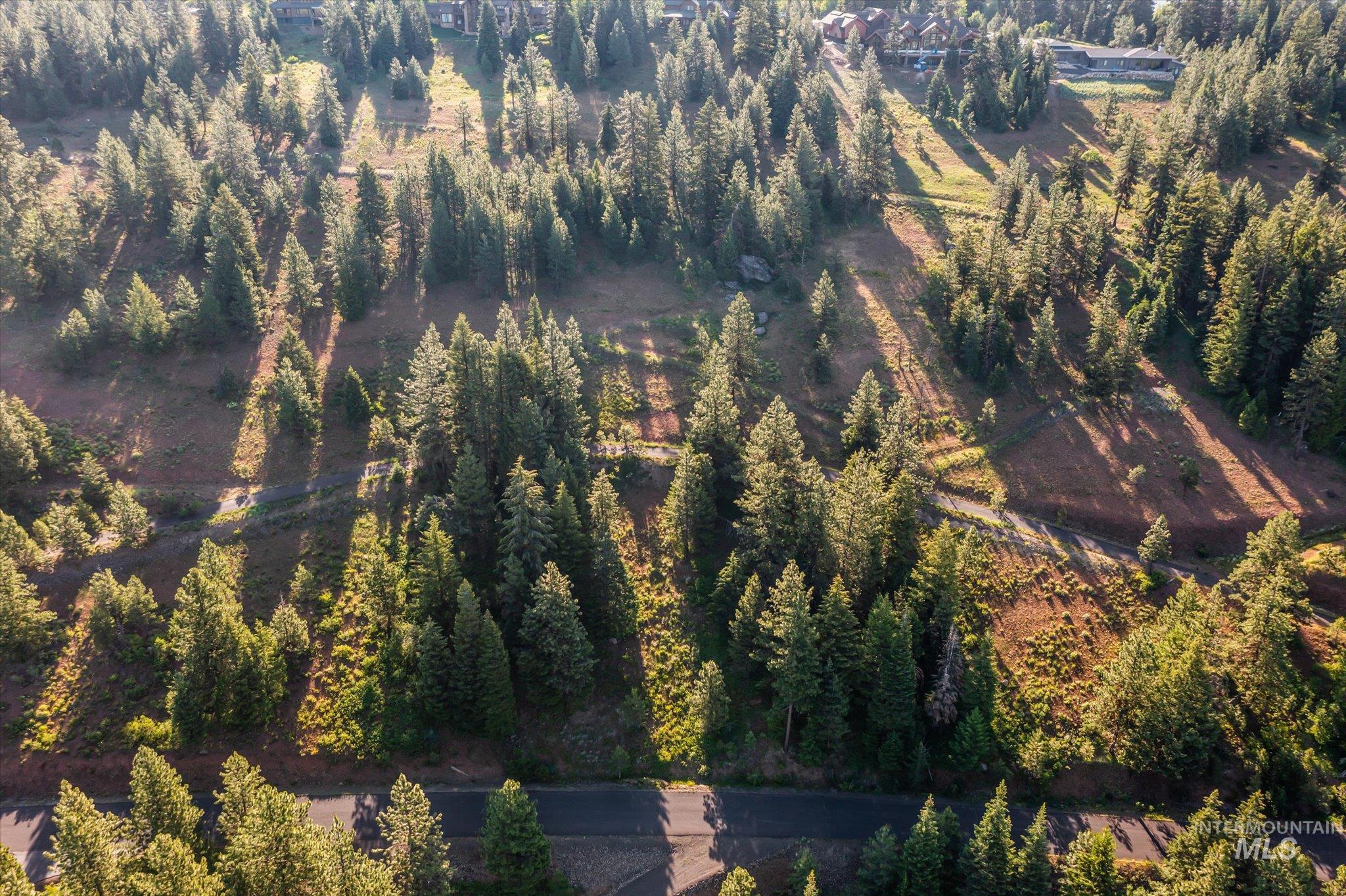 TBD Harrington Place, McCall, Idaho 83638, Land For Sale, Price $500,000,MLS 98990909