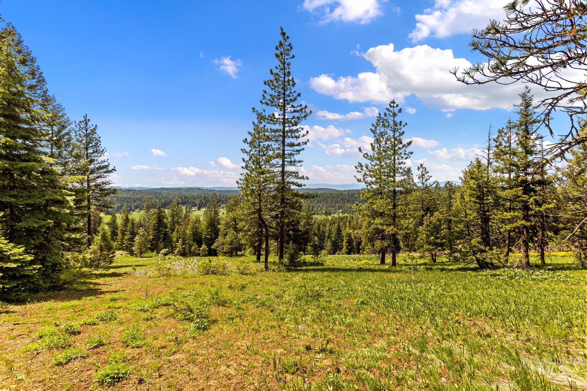 TBD Harrington Place, McCall, Idaho 83638, Land For Sale, Price $500,000,MLS 98990909
