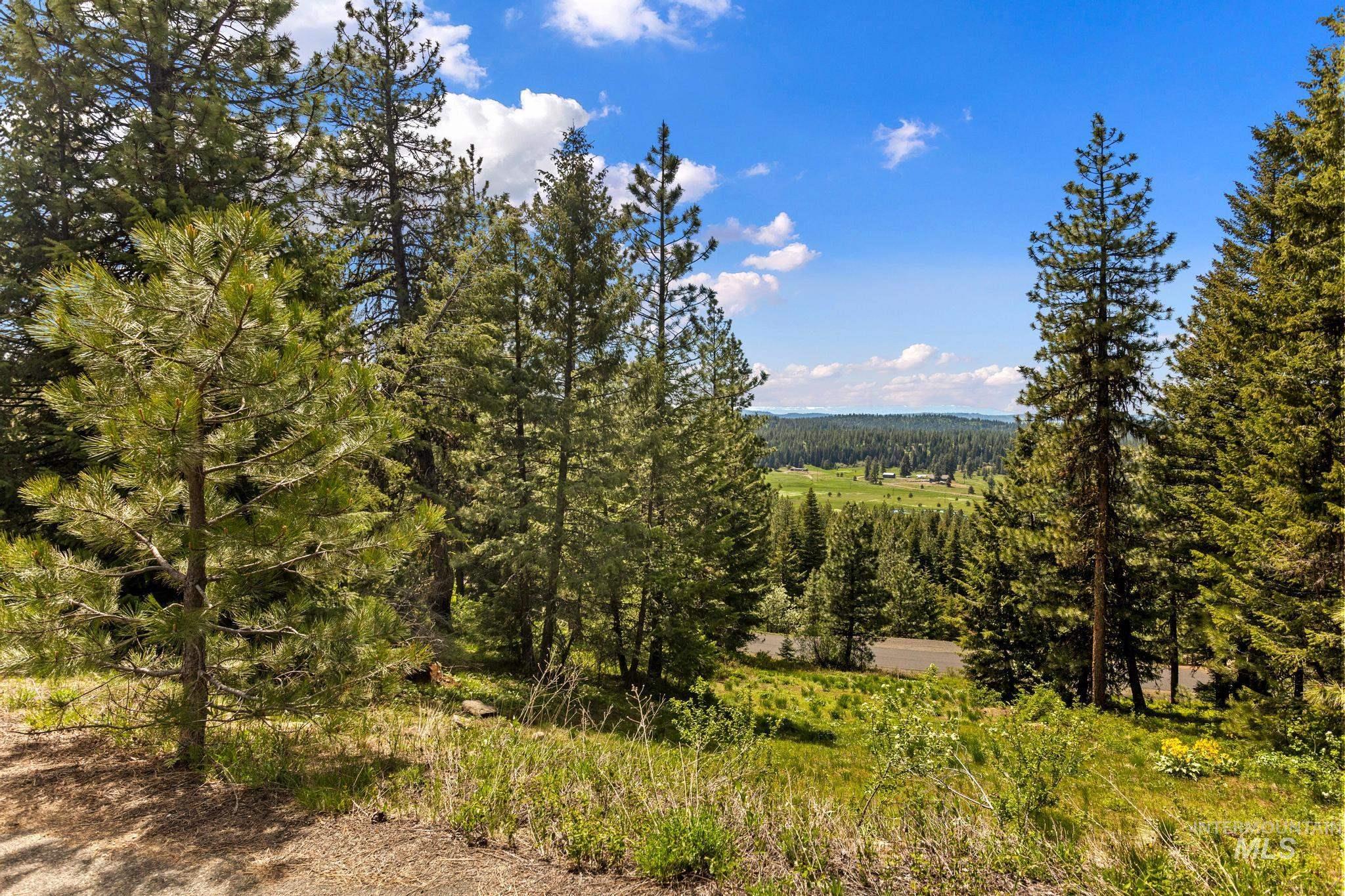 TBD Harrington Place, McCall, Idaho 83638, Land For Sale, Price $500,000,MLS 98990909