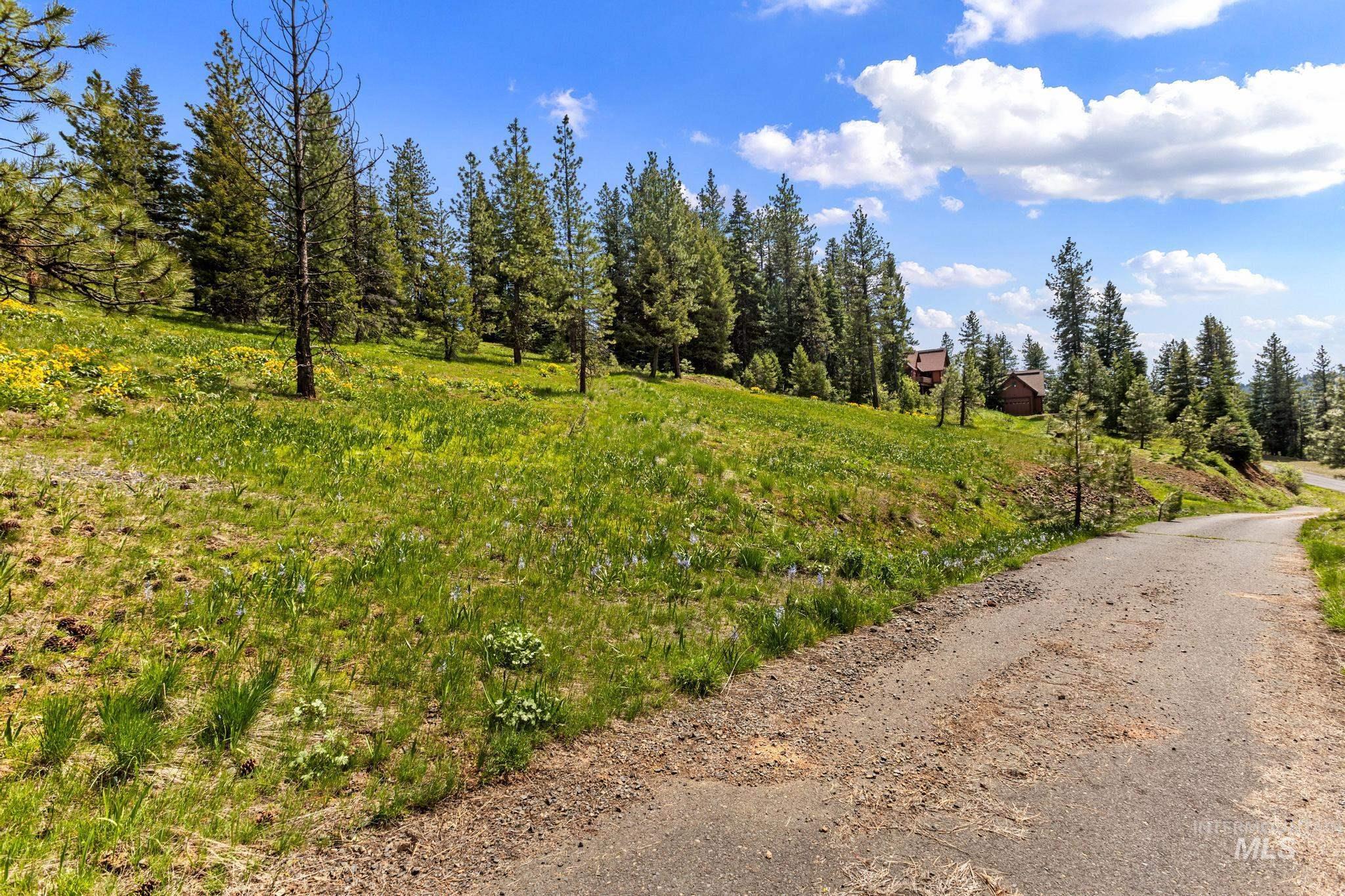 TBD Harrington Place, McCall, Idaho 83638, Land For Sale, Price $500,000,MLS 98990909