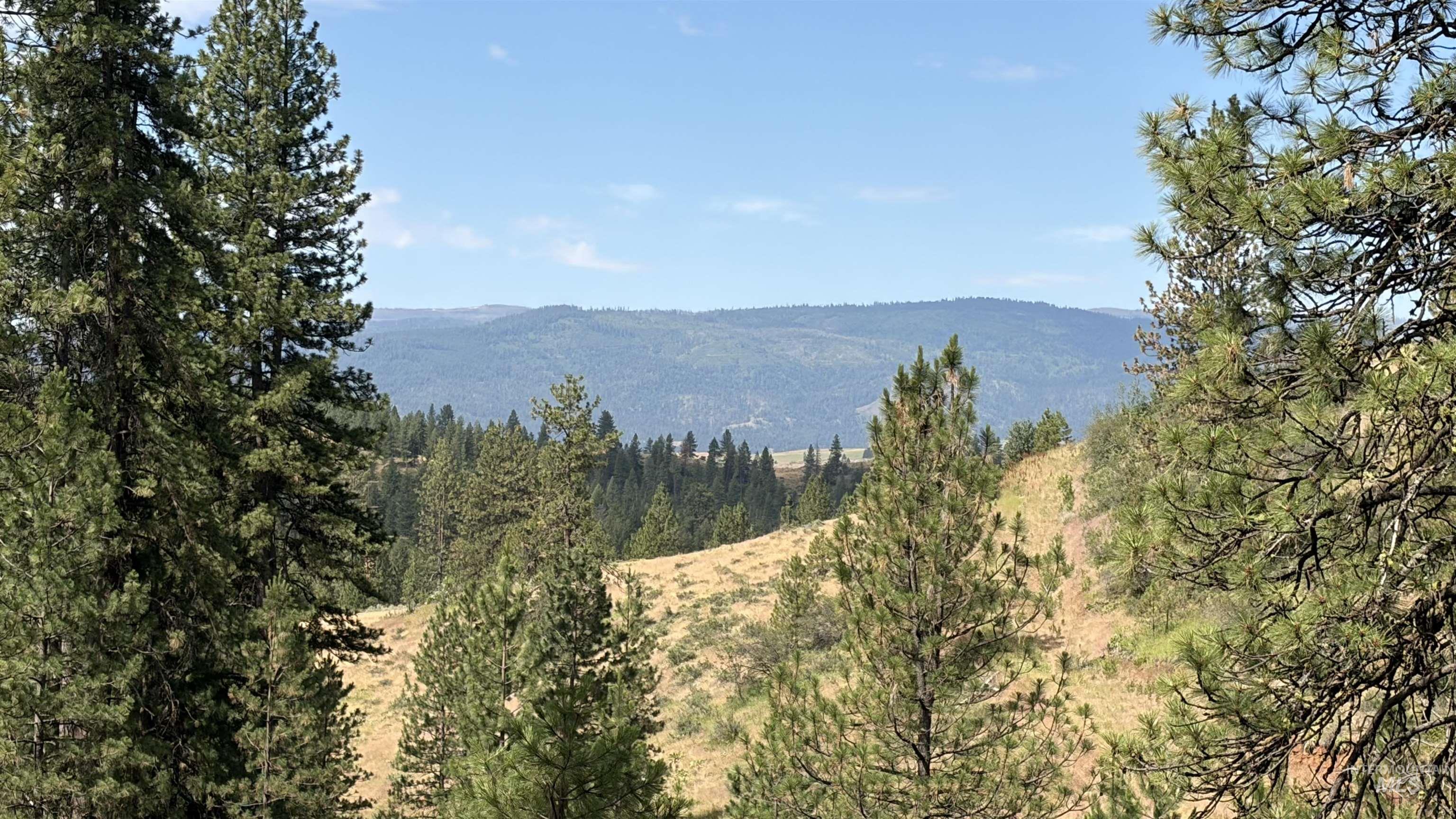 TBD Fruitvale Glendale Rd, Council, Idaho 83612, Land For Sale, Price $225,000, 98990922