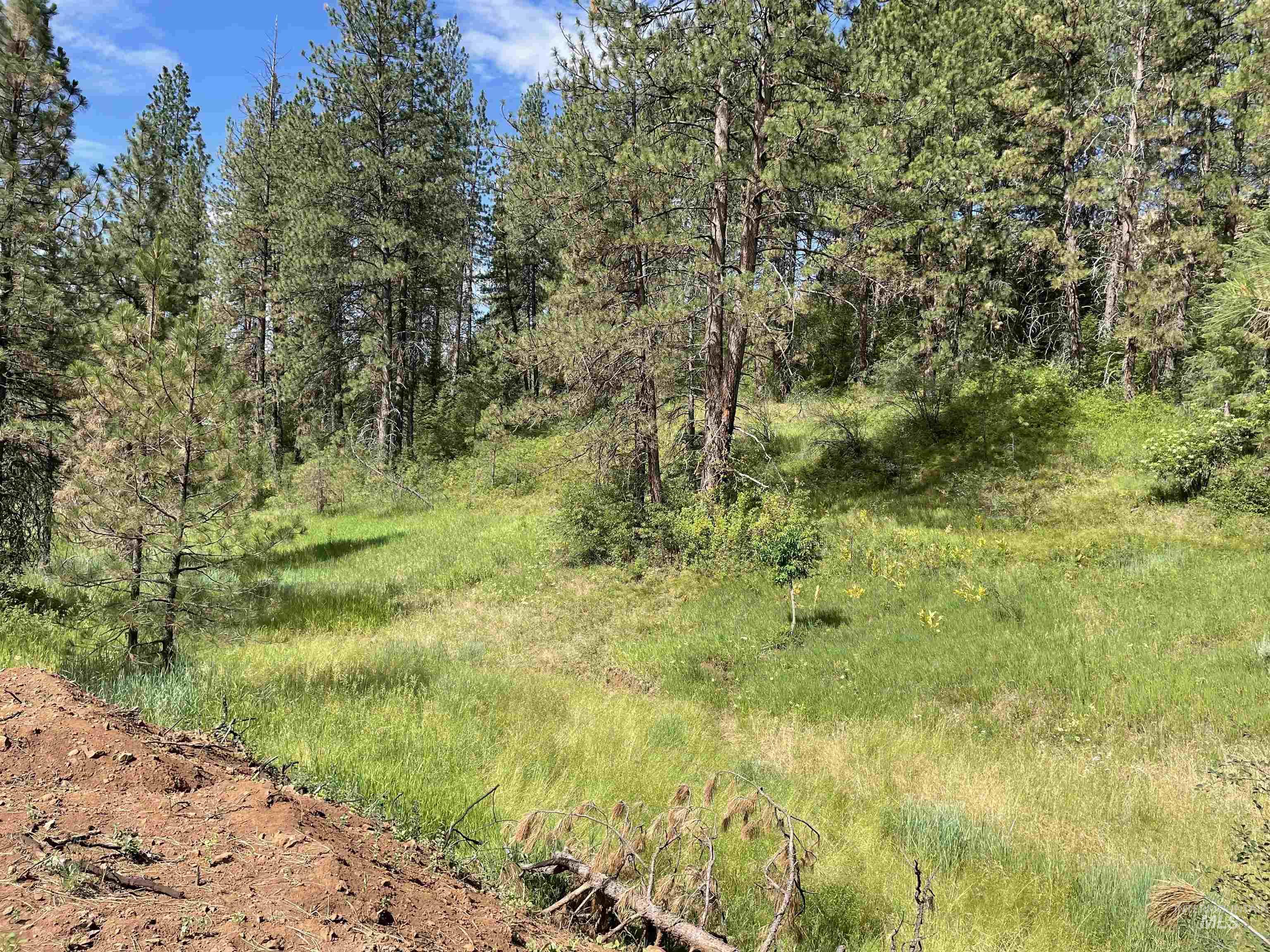 TBD Fruitvale Glendale Rd, Council, Idaho 83612, Land For Sale, Price $225,000, 98990922