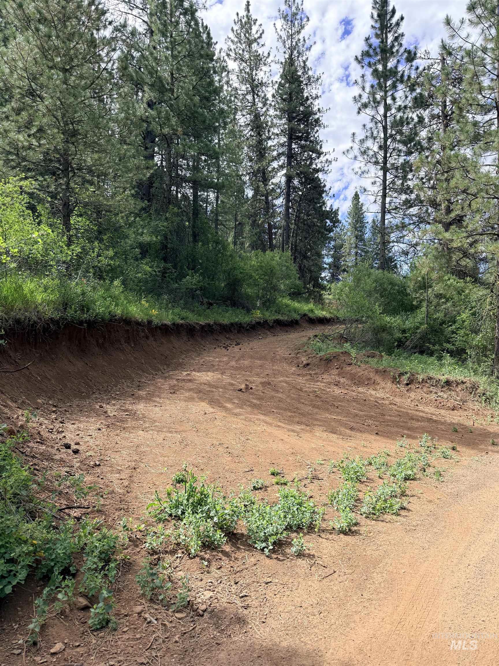 TBD Fruitvale Glendale Rd, Council, Idaho 83612, Land For Sale, Price $225,000, 98990922