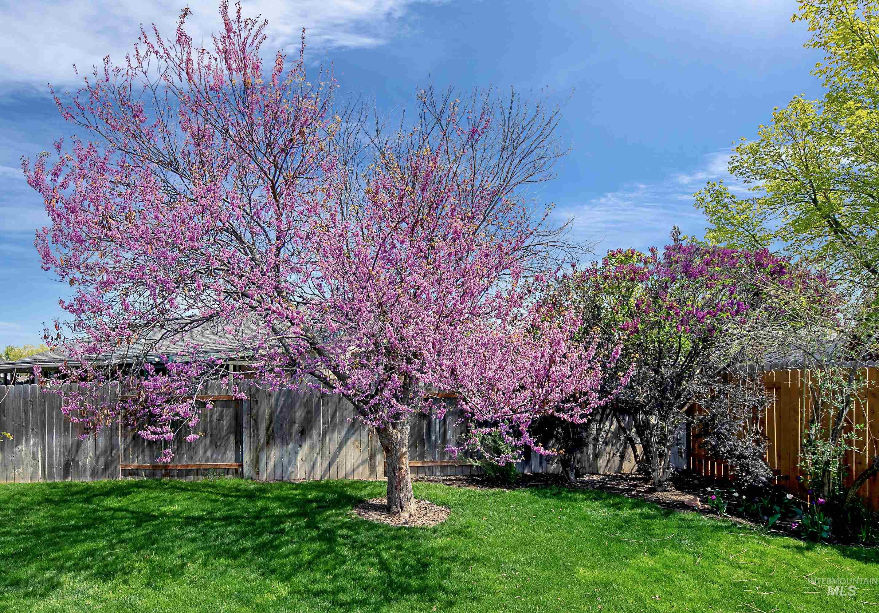 1707 Silver Loop, Nampa, Idaho 83686, 3 Bedrooms, 2 Bathrooms, Residential For Sale, Price $372,000,MLS 98990968