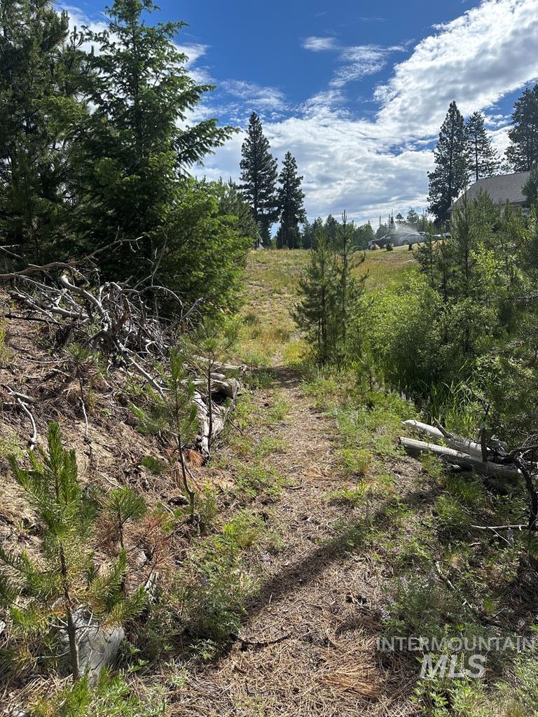 12 Cross Country Ct., Donnelly, Idaho 83615, Land For Sale, Price $194,900,MLS 98991000