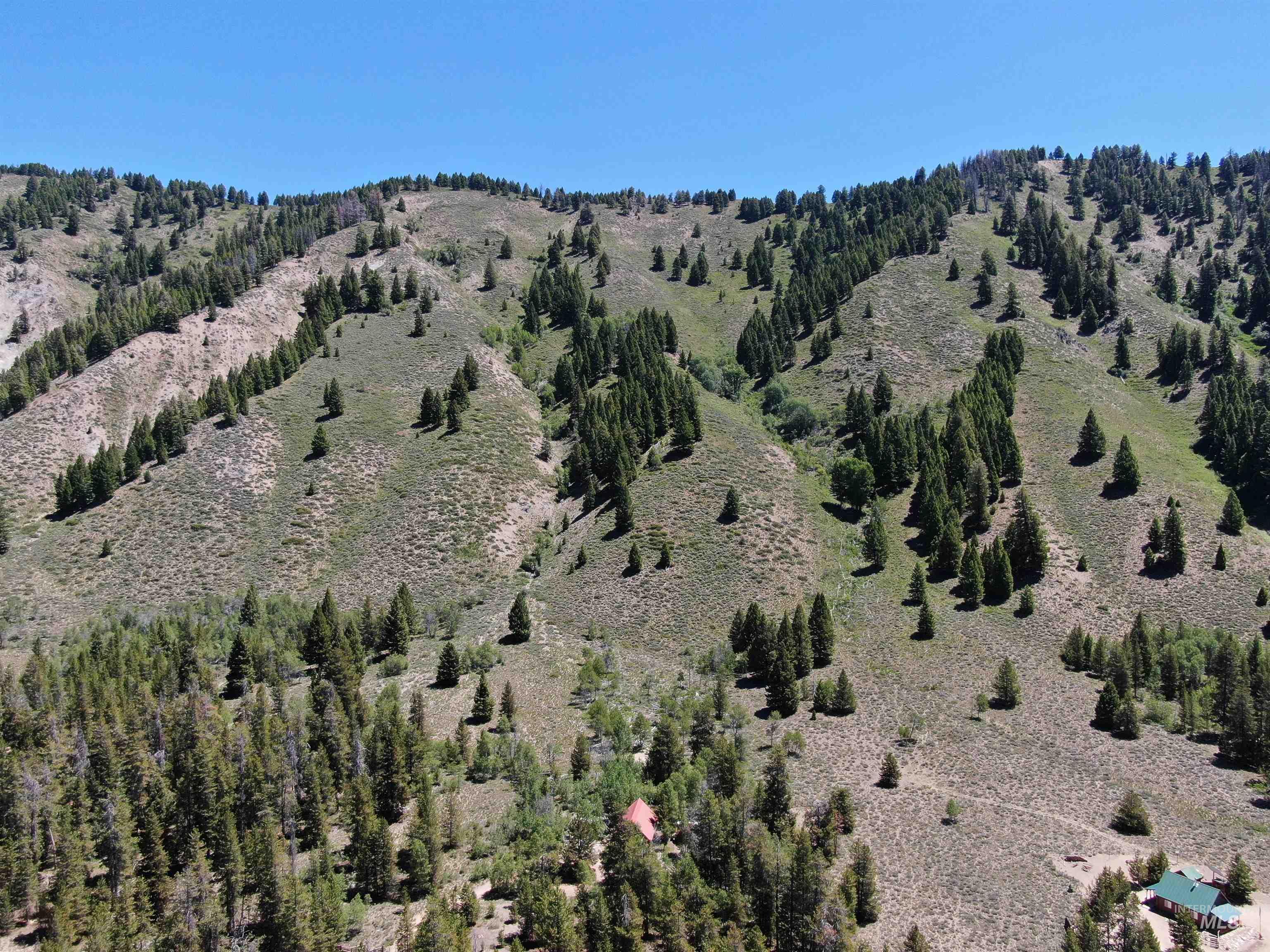 2049 Fleck Summit Rd, Fairfield, Idaho 83327, 1 Bedroom, 1 Bathroom, Residential For Sale, Price $510,000, 98991021