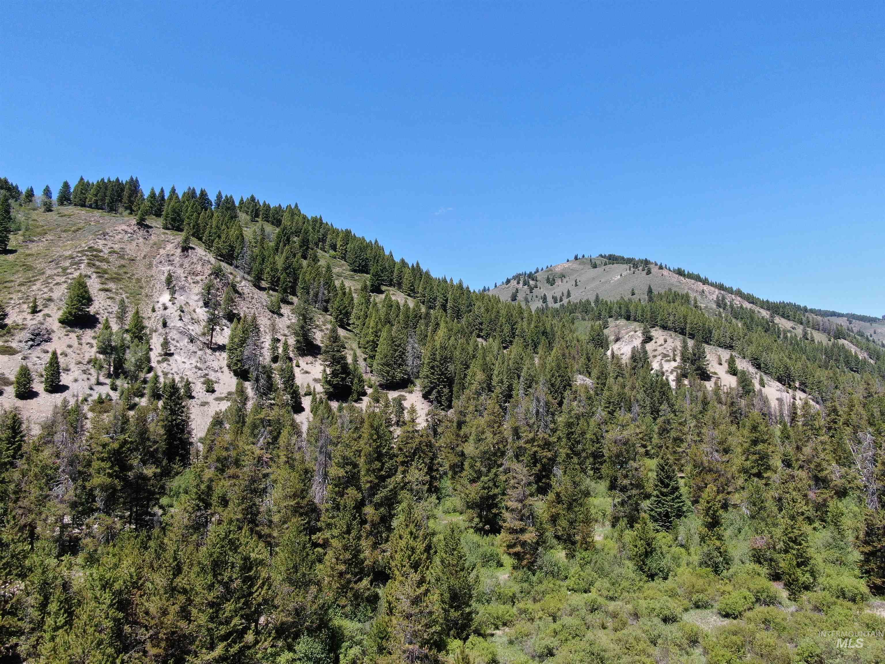 2049 Fleck Summit Rd, Fairfield, Idaho 83327, 1 Bedroom, 1 Bathroom, Residential For Sale, Price $510,000, 98991021