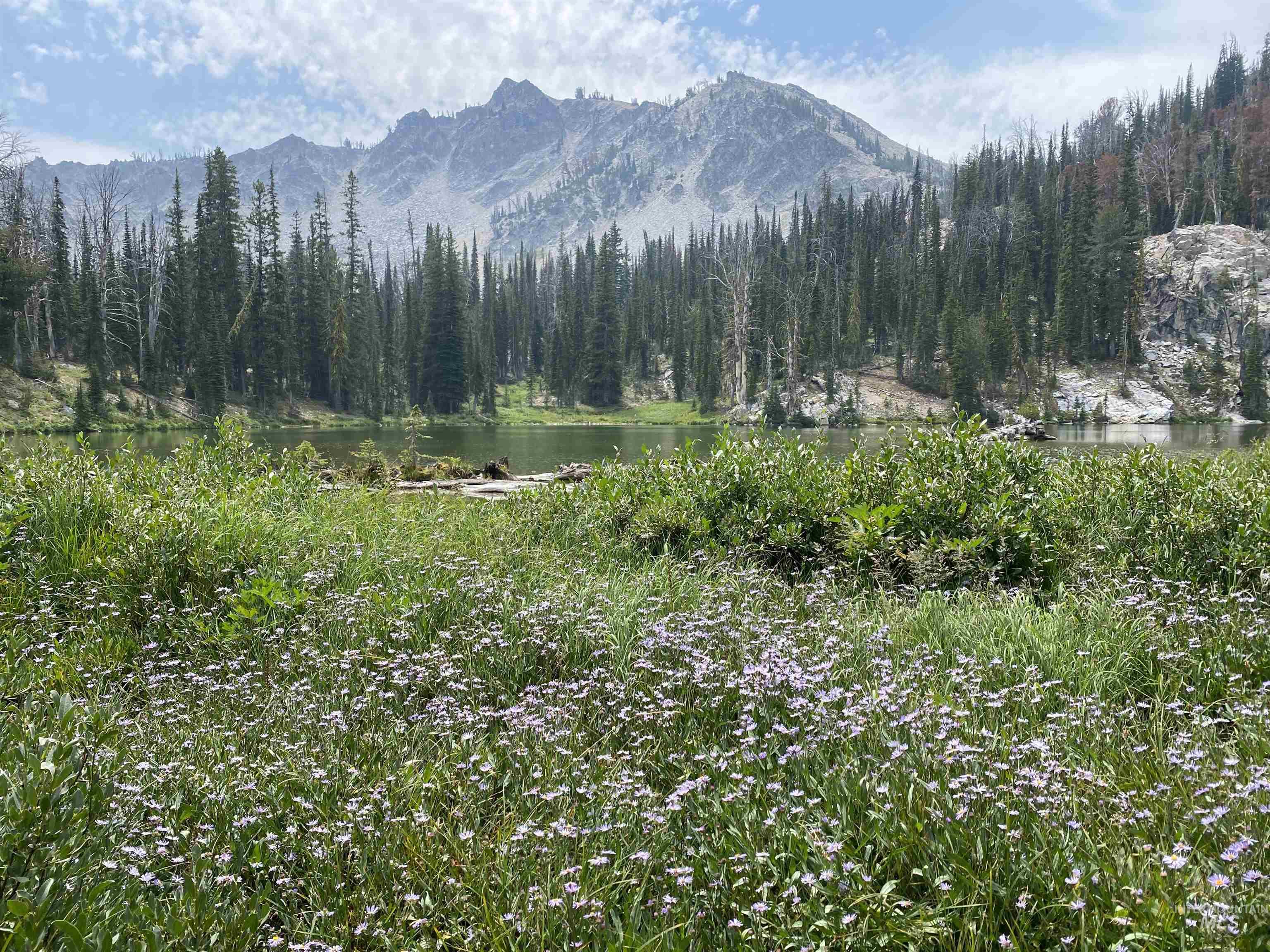 2049 Fleck Summit Rd, Fairfield, Idaho 83327, 1 Bedroom, 1 Bathroom, Residential For Sale, Price $510,000, 98991021