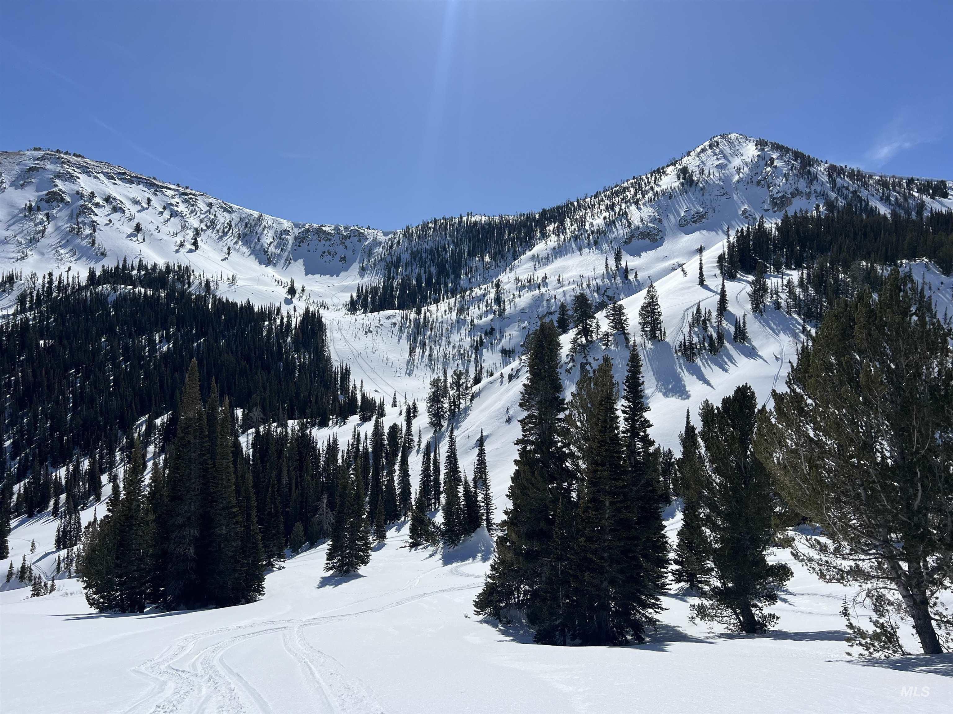 2049 Fleck Summit Rd, Fairfield, Idaho 83327, 1 Bedroom, 1 Bathroom, Residential For Sale, Price $510,000, 98991021