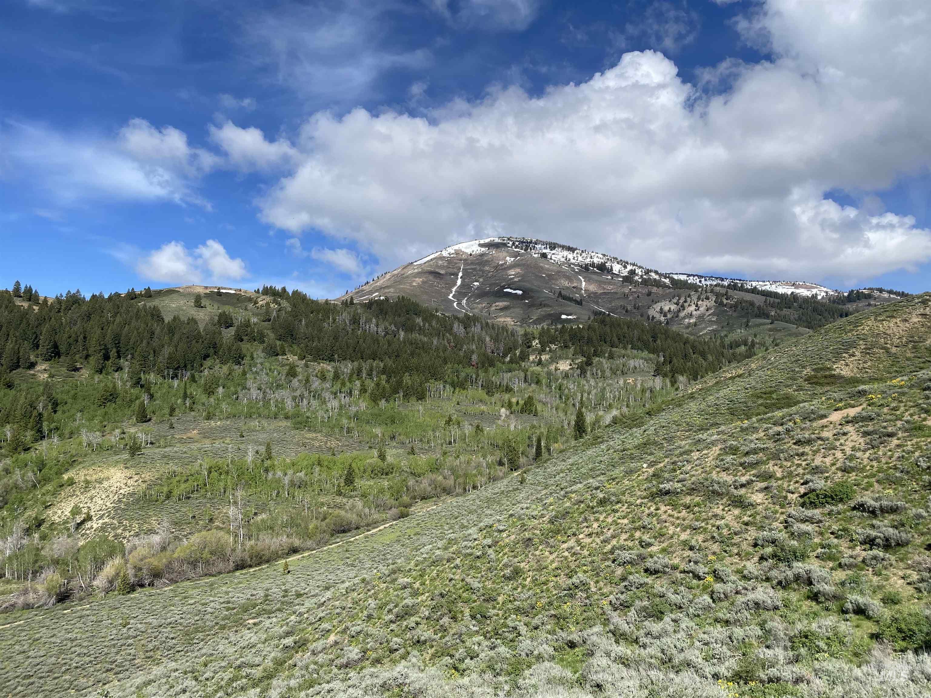 2049 Fleck Summit Rd, Fairfield, Idaho 83327, 1 Bedroom, 1 Bathroom, Residential For Sale, Price $510,000, 98991021