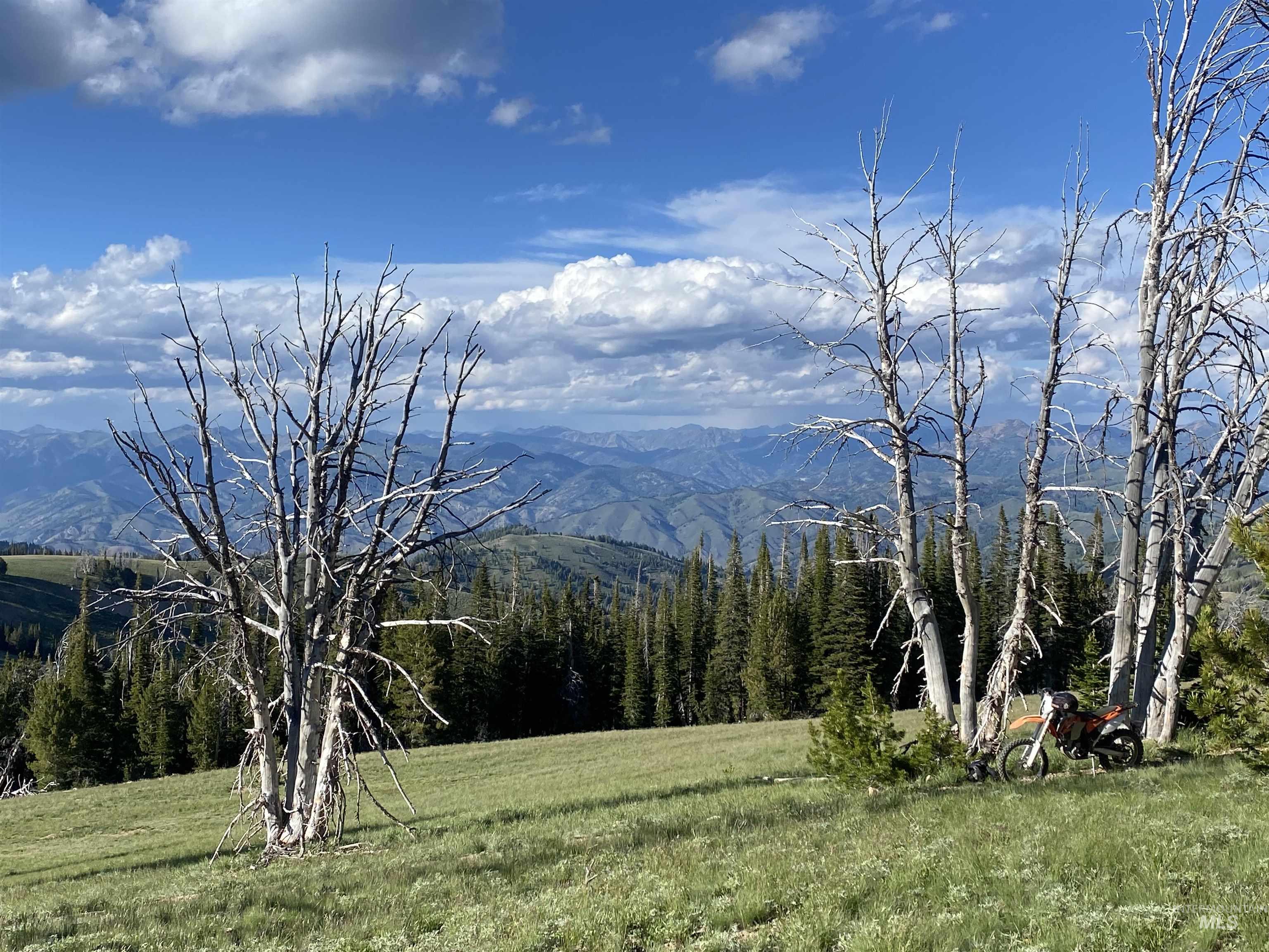 2049 Fleck Summit Rd, Fairfield, Idaho 83327, 1 Bedroom, 1 Bathroom, Residential For Sale, Price $510,000, 98991021