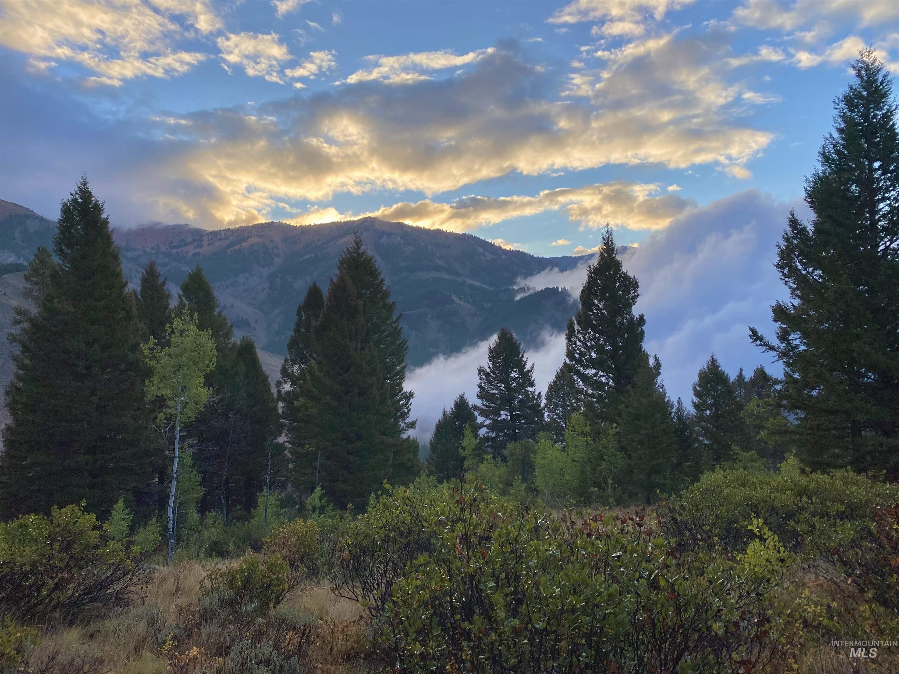 2049 Fleck Summit Rd, Fairfield, Idaho 83327, 1 Bedroom, 1 Bathroom, Residential For Sale, Price $510,000, 98991021
