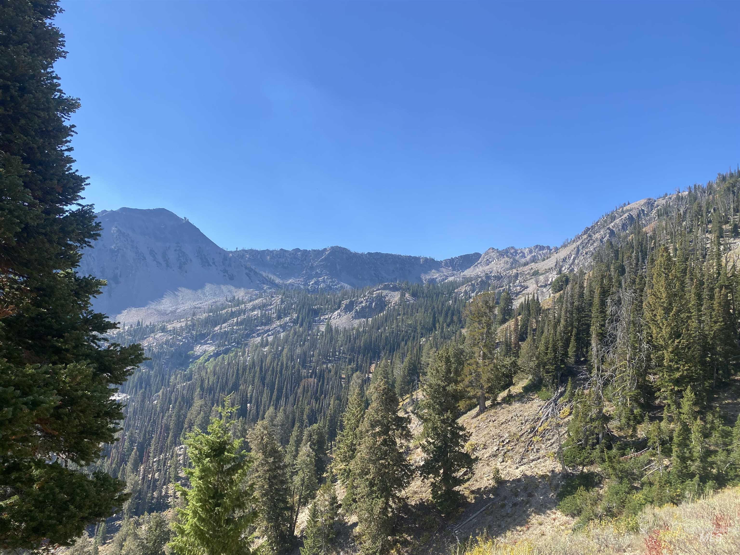 2049 Fleck Summit Rd, Fairfield, Idaho 83327, 1 Bedroom, 1 Bathroom, Residential For Sale, Price $510,000, 98991021