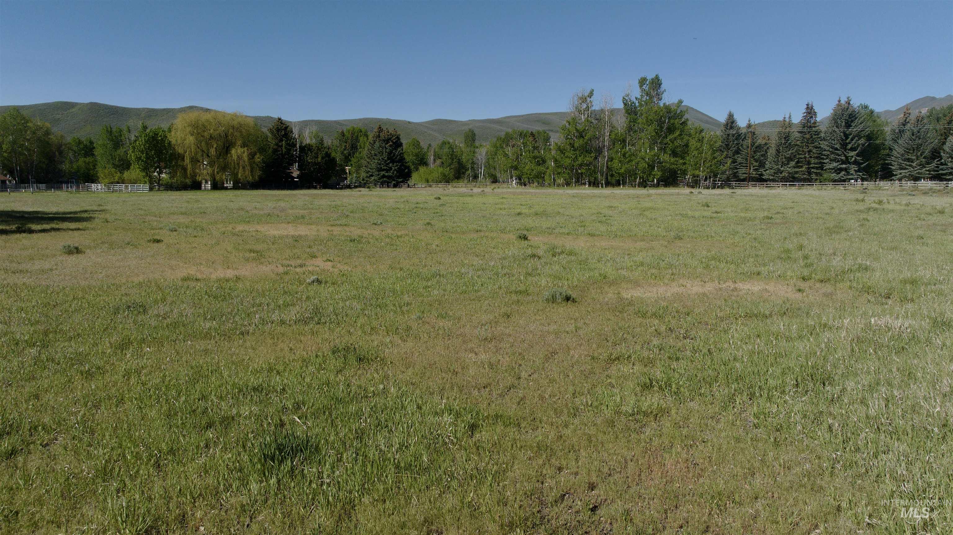 113 & 117 Lower Broadford Rf, Bellevue, Idaho 83313, Land For Sale, Price $3,500,000,MLS 98991039