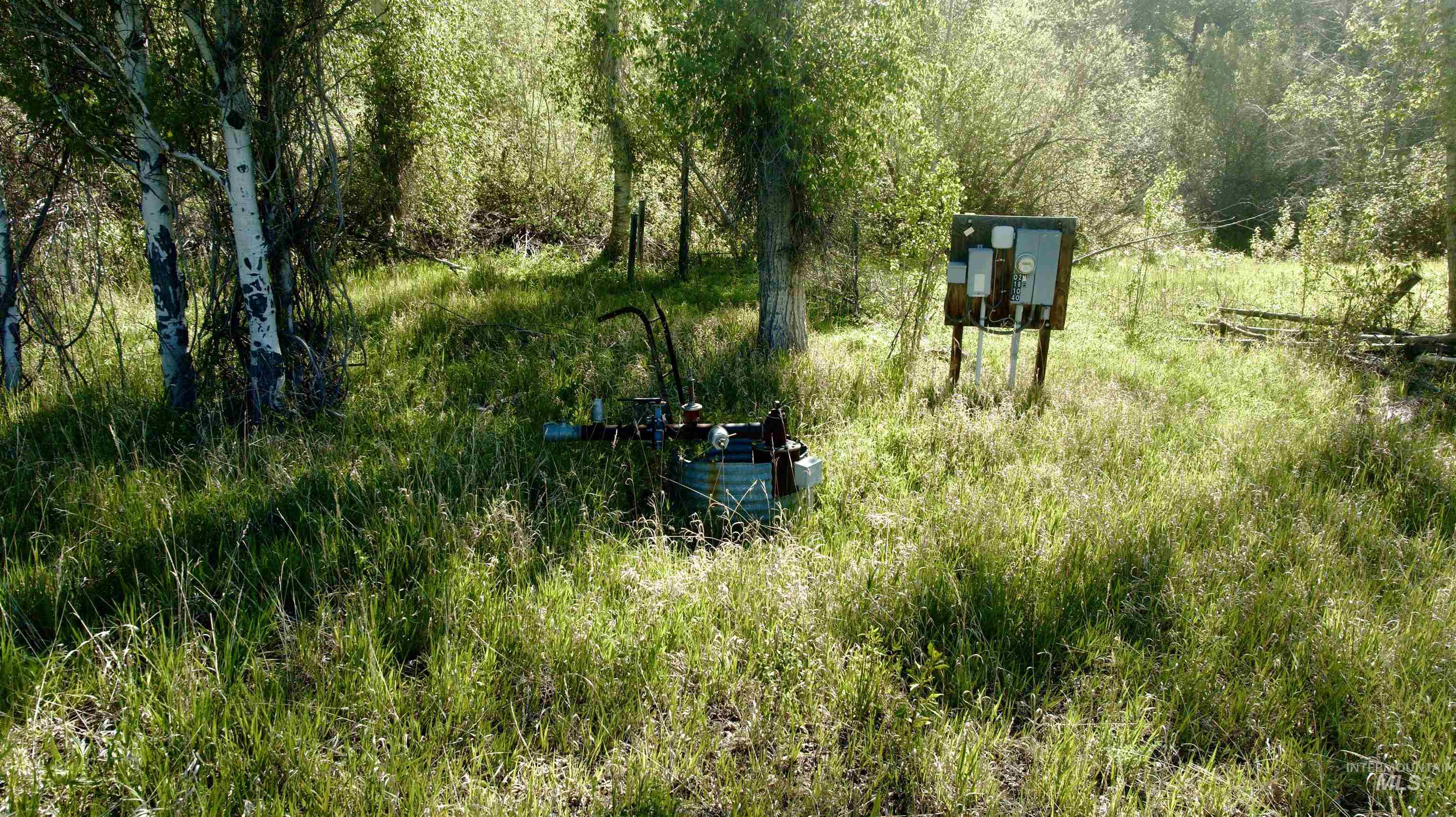 113 & 117 Lower Broadford Rf, Bellevue, Idaho 83313, Land For Sale, Price $3,500,000,MLS 98991039