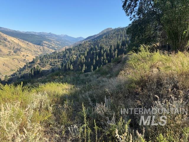 144 Chukar Run, Pollock, Idaho 83547, Land For Sale, Price $110,000, 98991133