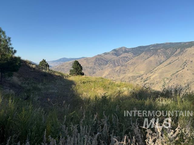 144 Chukar Run, Pollock, Idaho 83547, Land For Sale, Price $110,000, 98991133