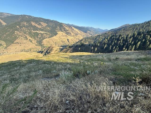 144 Chukar Run, Pollock, Idaho 83547, Land For Sale, Price $110,000, 98991133