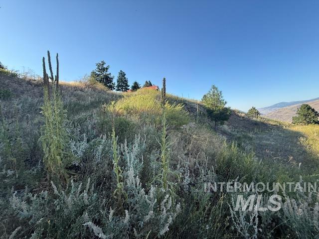 144 Chukar Run, Pollock, Idaho 83547, Land For Sale, Price $110,000, 98991133