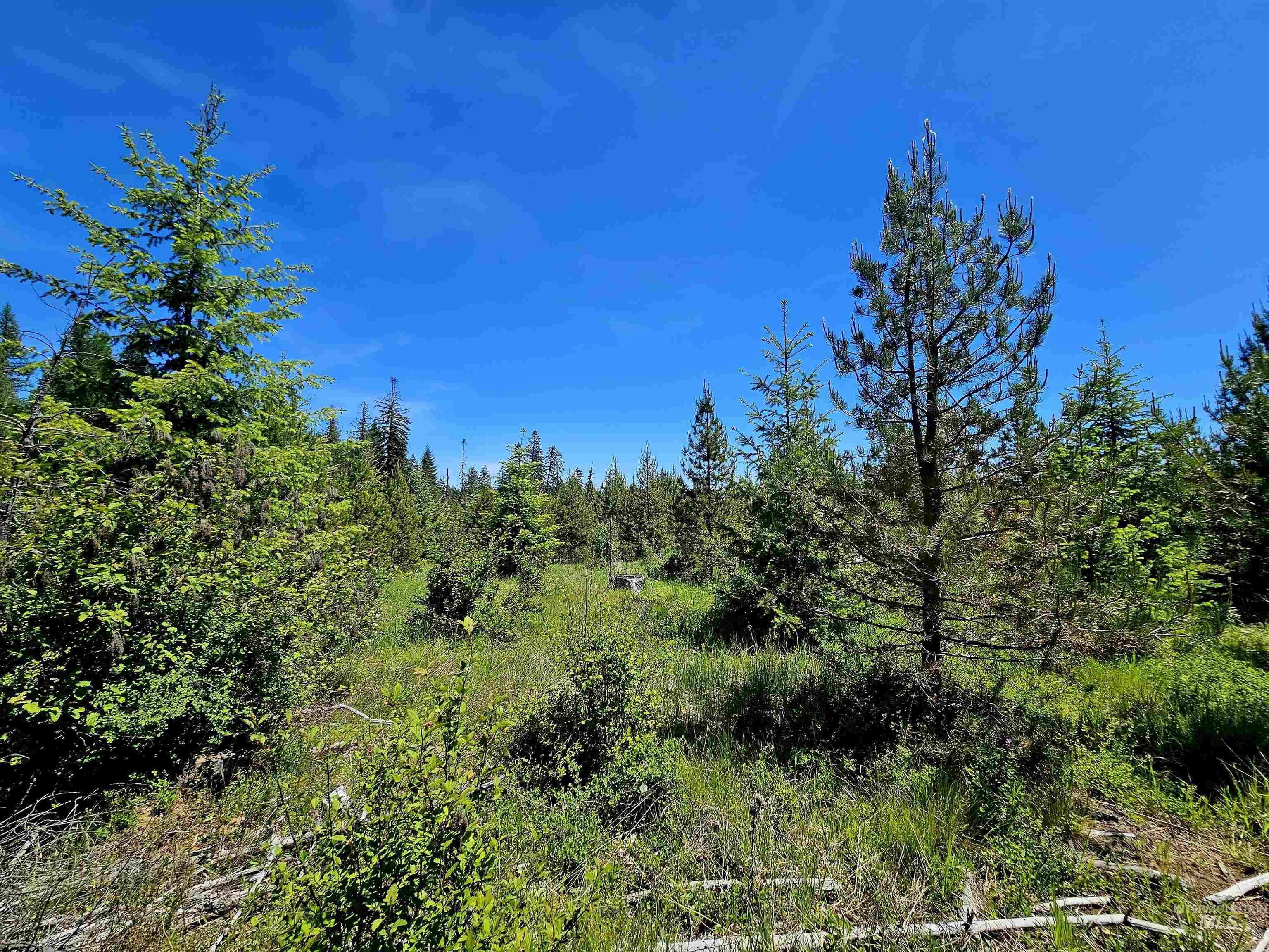 0 Timberline Heights, Parcel 5, Weippe, Idaho 83553, Land For Sale, Price $238,700, 98991140