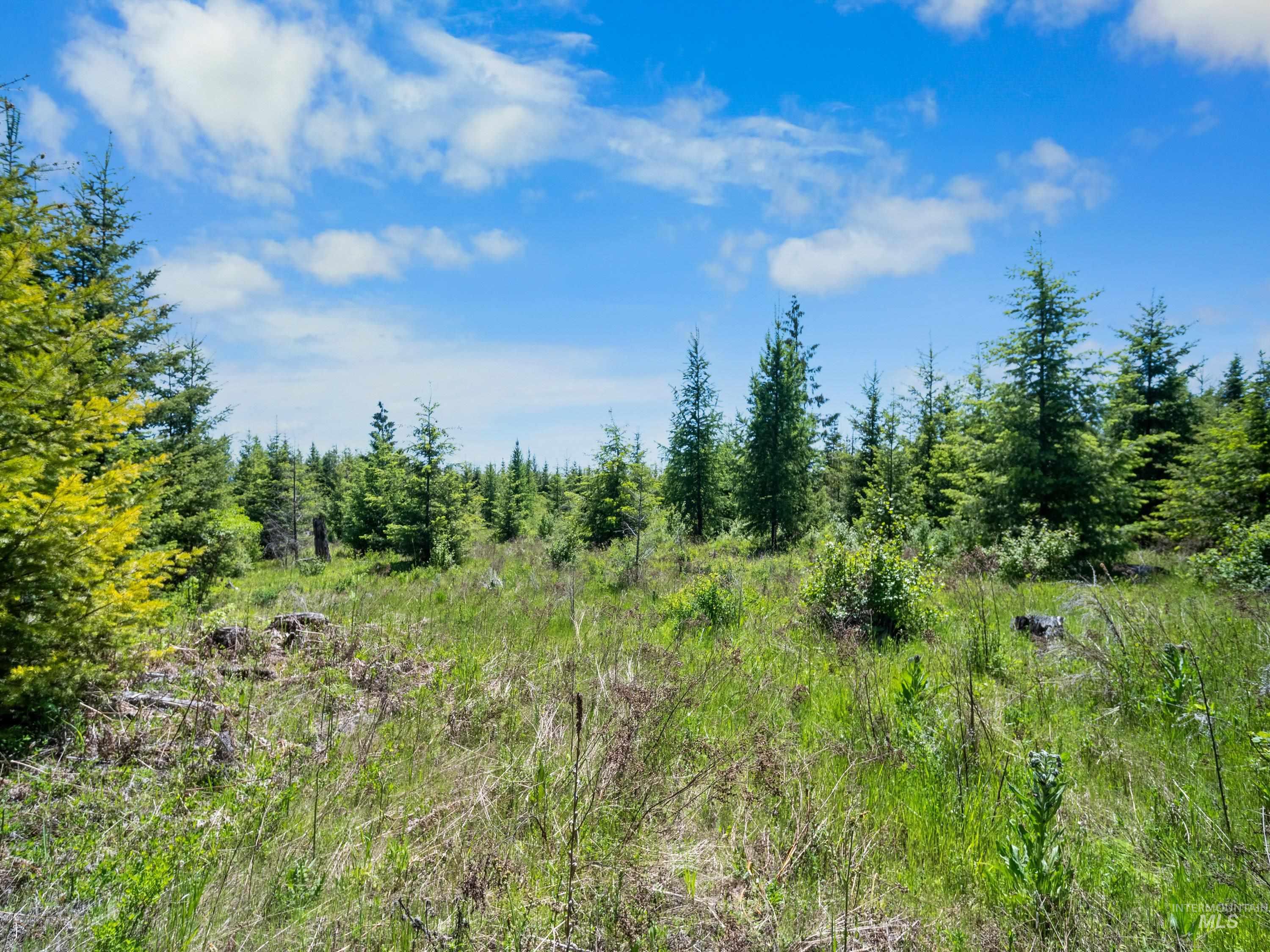 0 Timberline Heights, Parcel 5, Weippe, Idaho 83553, Land For Sale, Price $238,700, 98991140