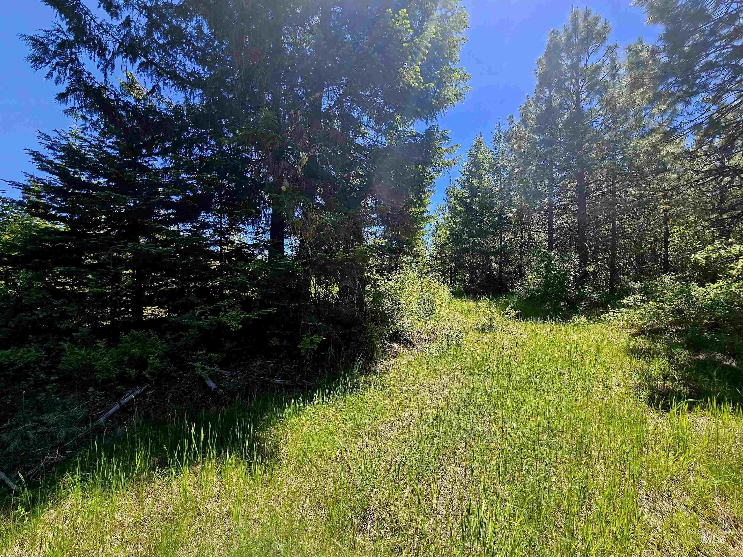 0 Timberline Heights, Parcel 5, Weippe, Idaho 83553, Land For Sale, Price $238,700, 98991140
