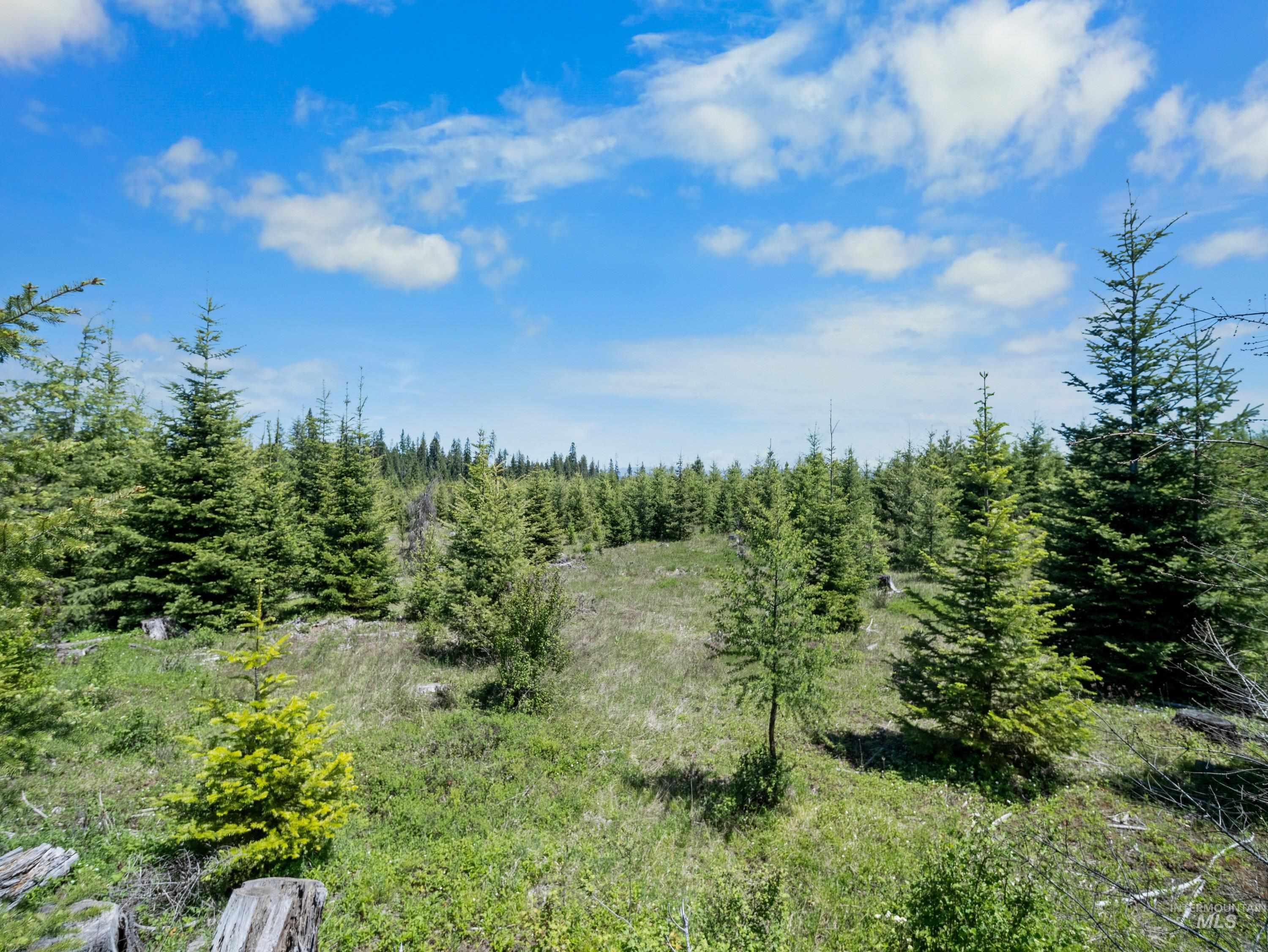 0 Timberline Heights, Parcel 5, Weippe, Idaho 83553, Land For Sale, Price $238,700, 98991140
