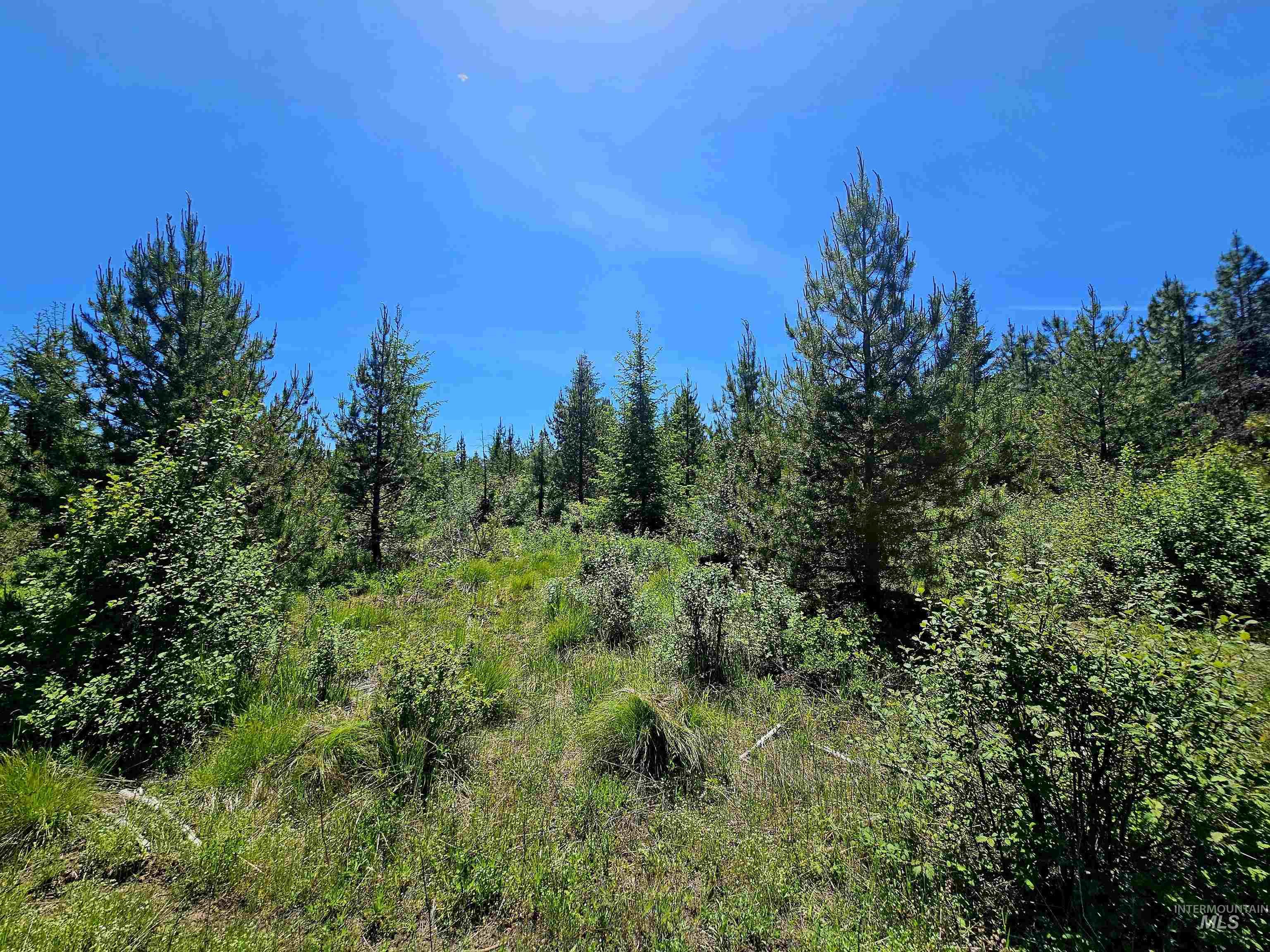 0 Timberline Heights, Parcel 5, Weippe, Idaho 83553, Land For Sale, Price $238,700, 98991140