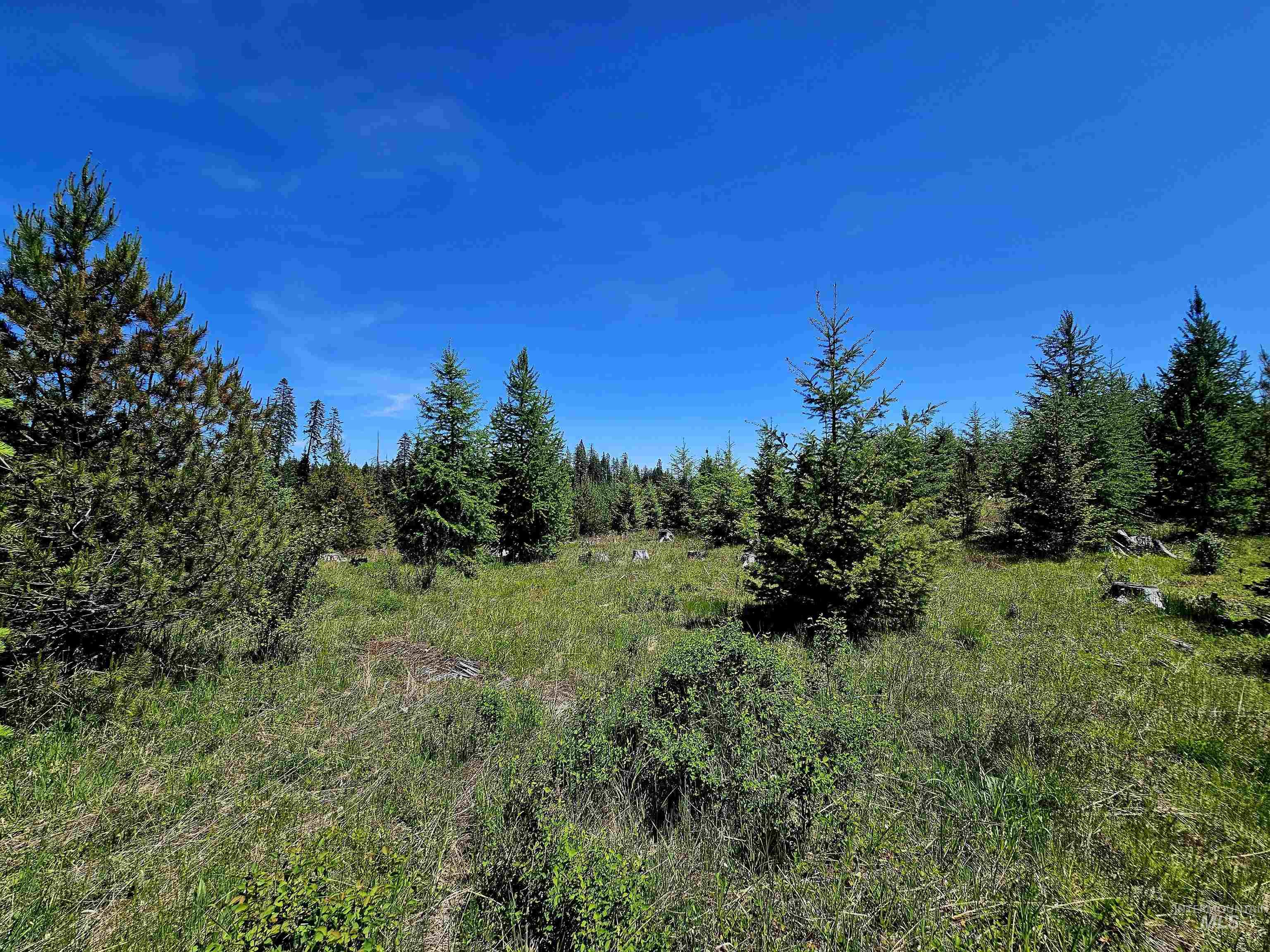 0 Timberline Heights, Parcel 5, Weippe, Idaho 83553, Land For Sale, Price $238,700, 98991140