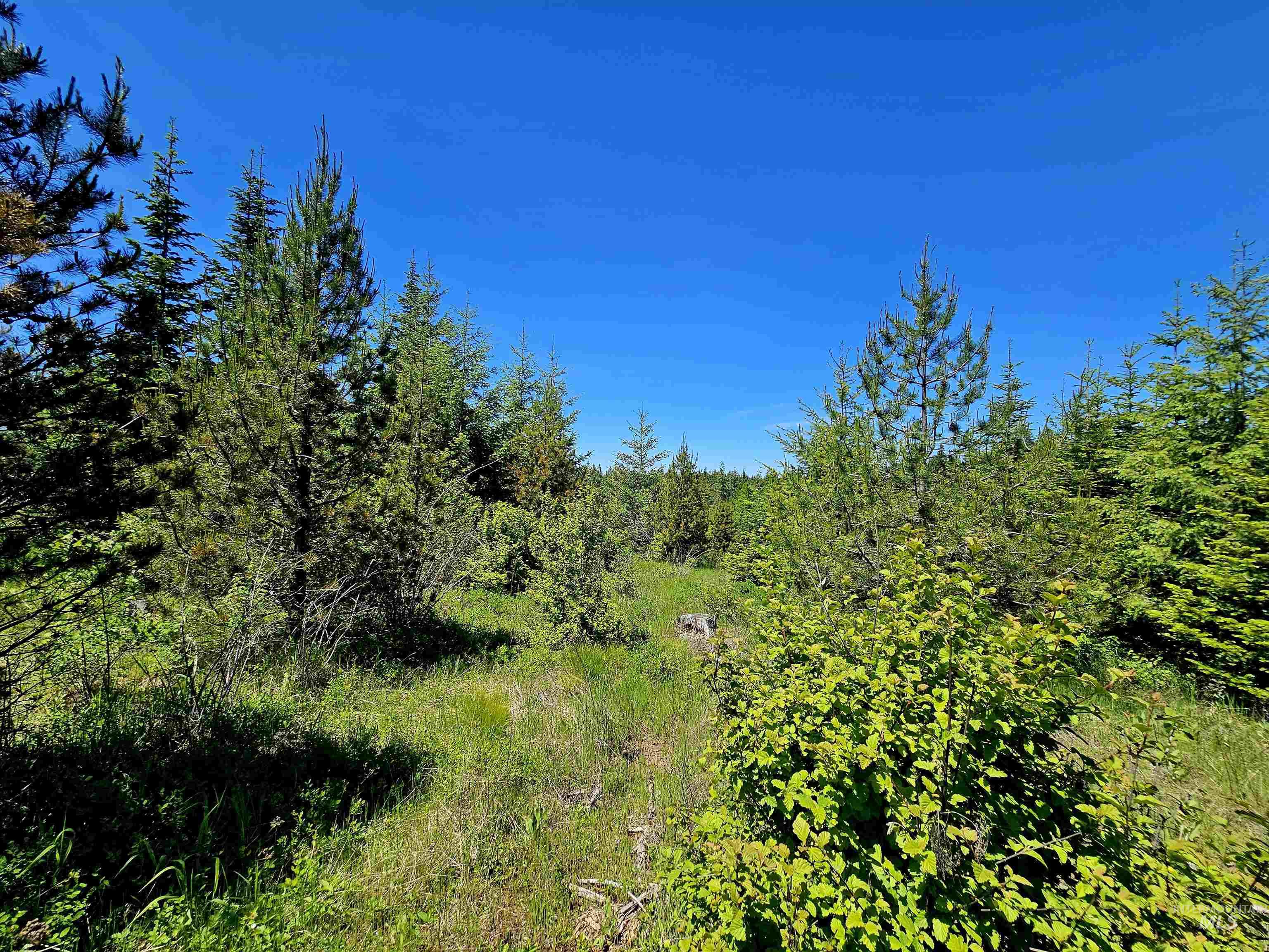 0 Timberline Heights, Parcel 5, Weippe, Idaho 83553, Land For Sale, Price $238,700, 98991140