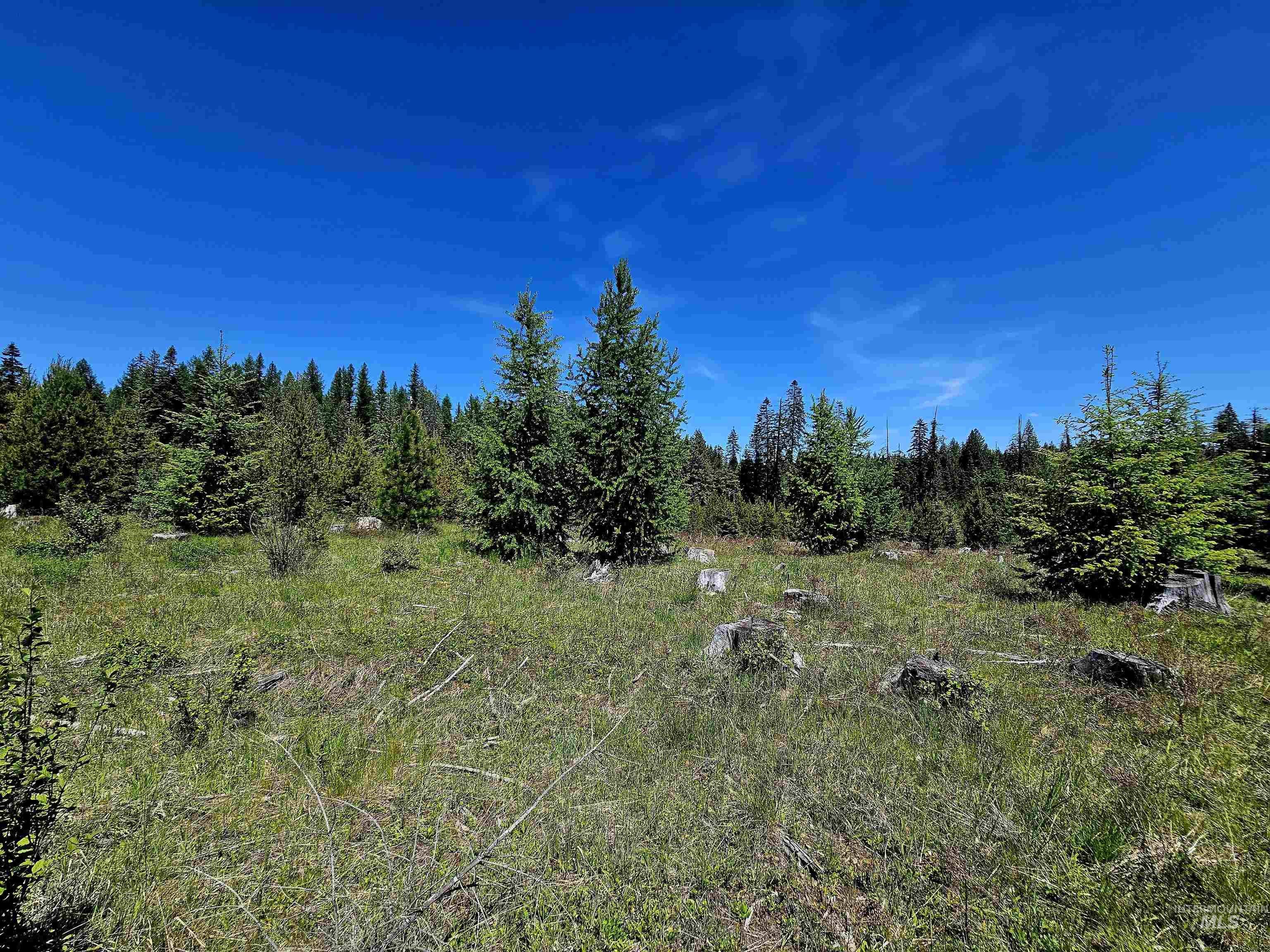 0 Timberline Heights, Parcel 5, Weippe, Idaho 83553, Land For Sale, Price $238,700, 98991140