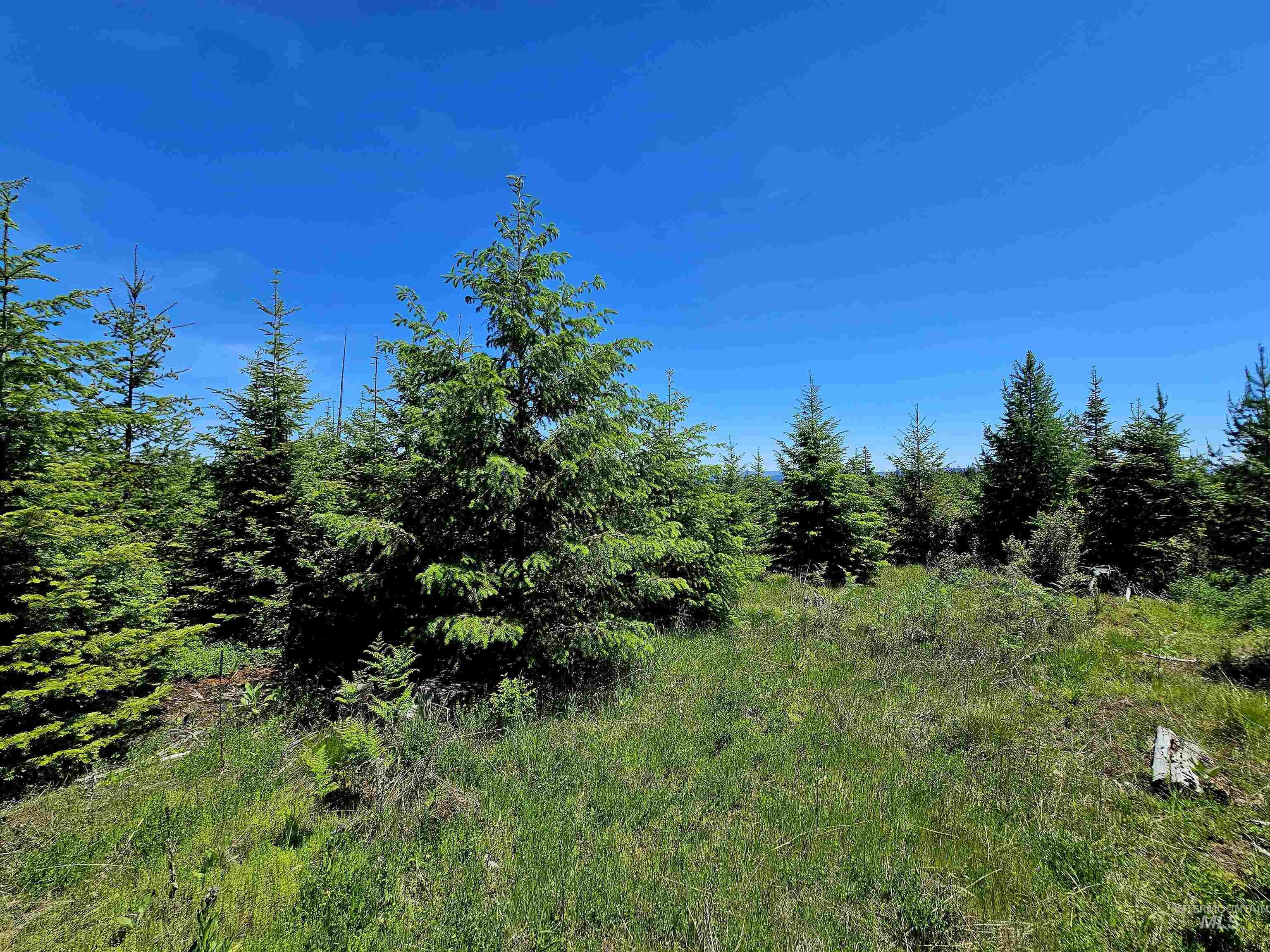 0 Timberline Heights, Parcel 5, Weippe, Idaho 83553, Land For Sale, Price $238,700, 98991140