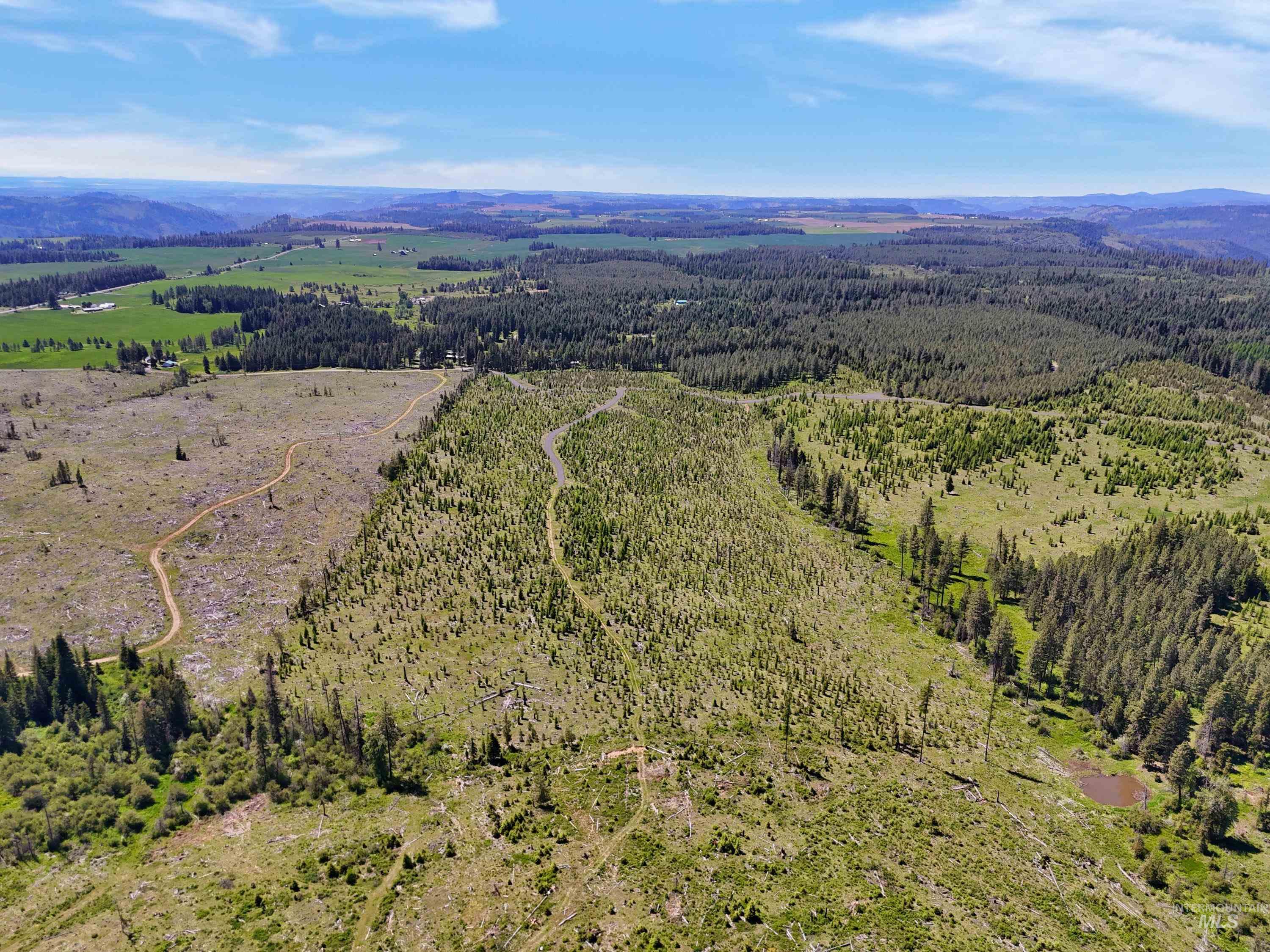 0 Timberline Heights, Parcel 2, Weippe, Idaho 83553, Land For Sale, Price $227,200, 98991141