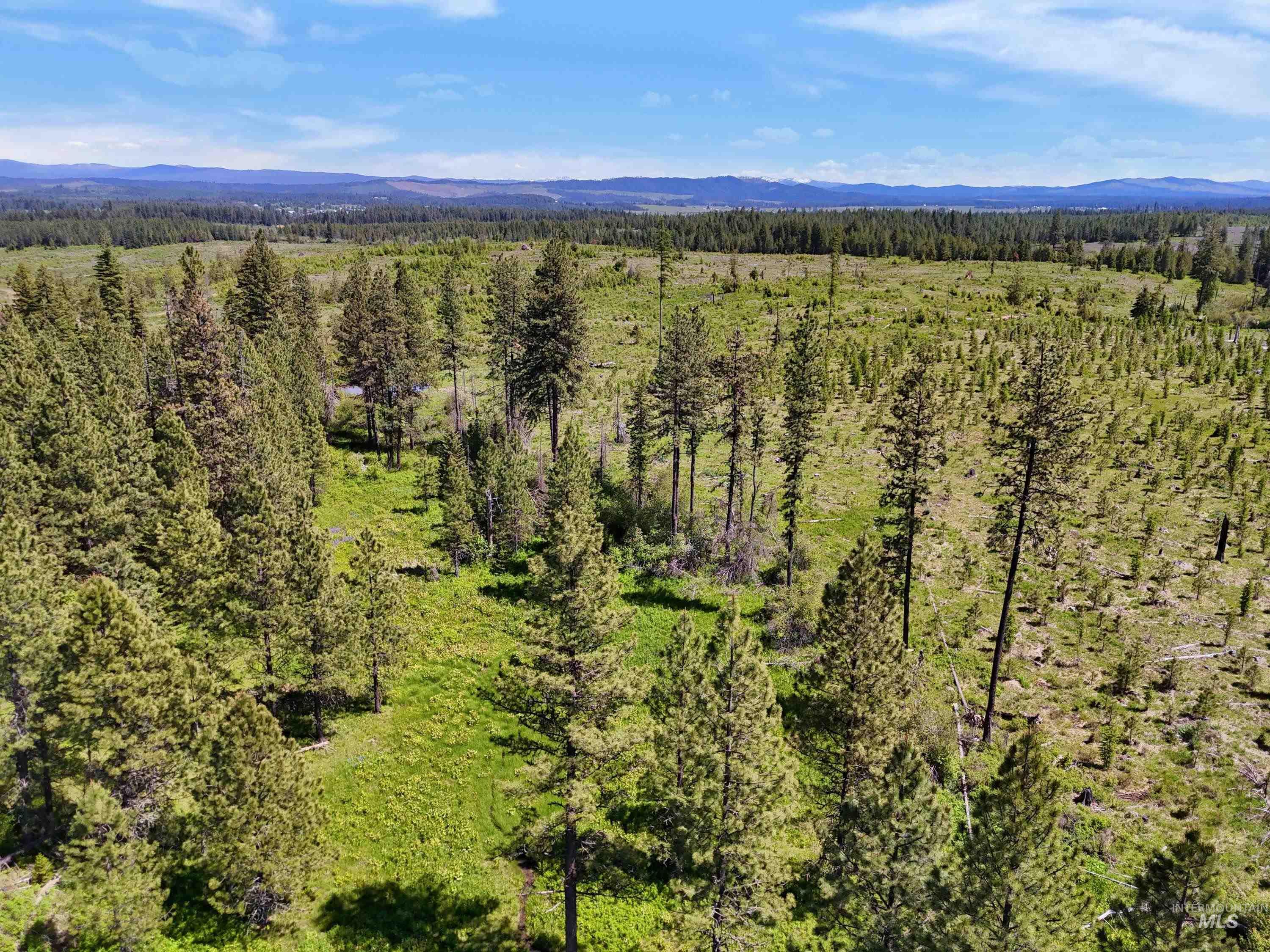 0 Timberline Heights, Parcel 2, Weippe, Idaho 83553, Land For Sale, Price $227,200, 98991141