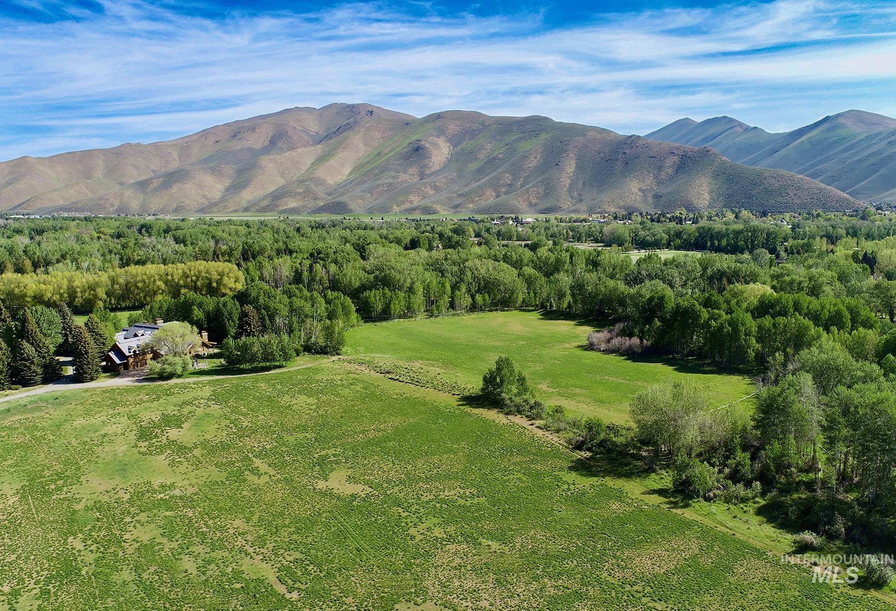 40 Fox Hollow Gulch Rd, Bellevue, Idaho 83313, 8 Bedrooms, 9.5 Bathrooms, Farm & Ranch For Sale, Price $7,500,000, 98991146
