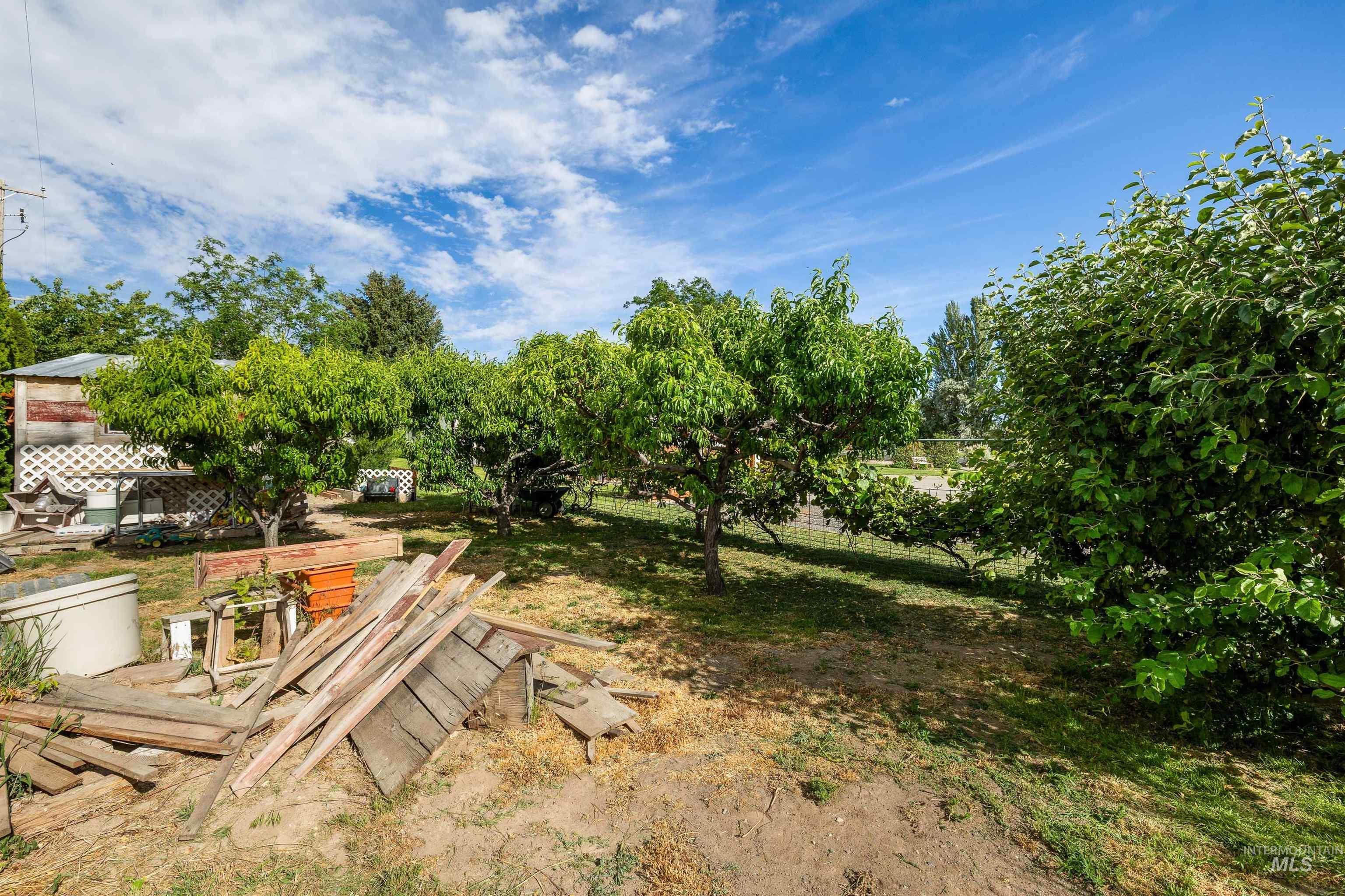 1001 Applewood Drive, Buhl, Idaho 83316, 3 Bedrooms, 2 Bathrooms, Residential For Sale, Price $389,900, 98991181