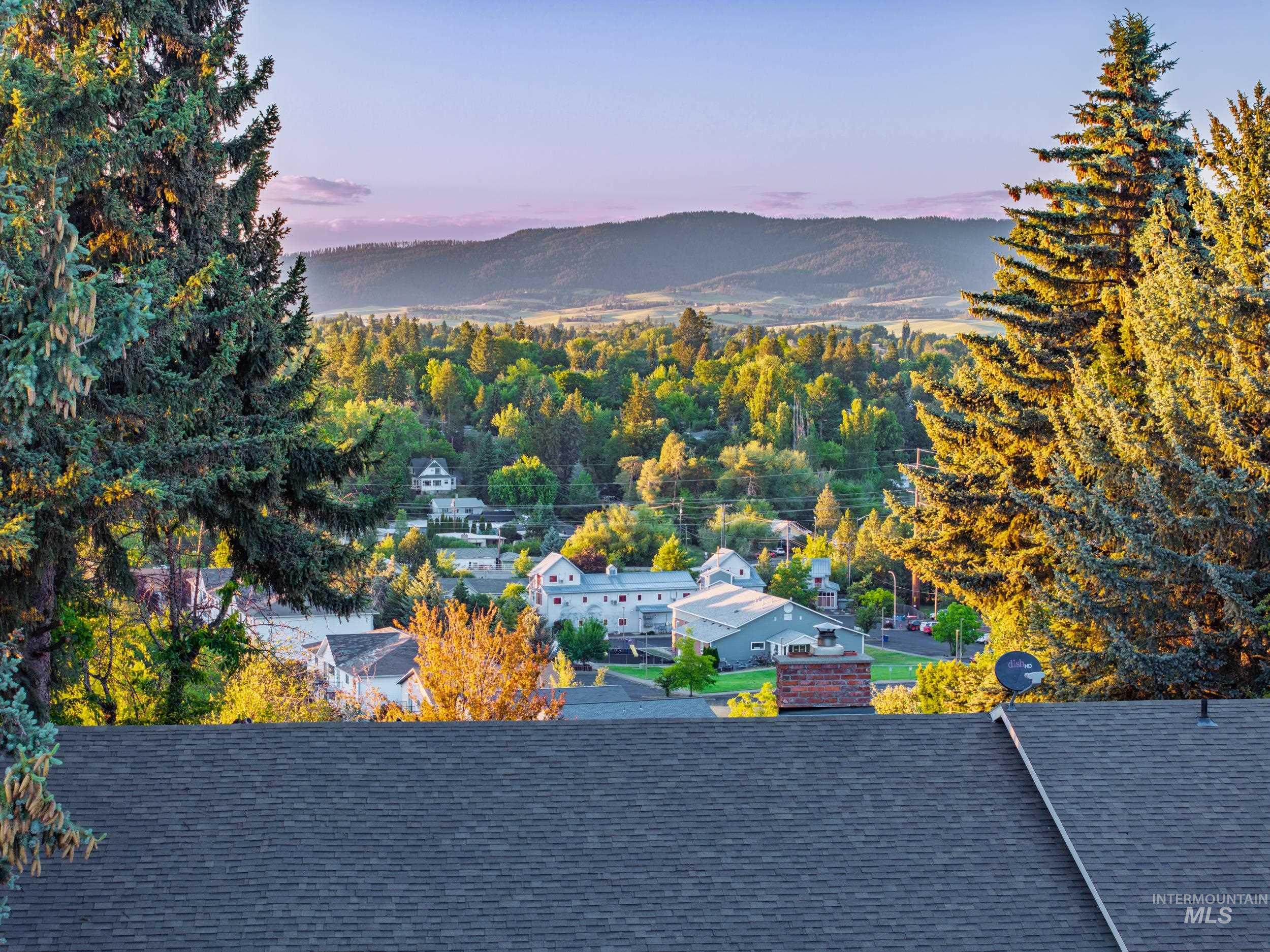 114 Arrow, Moscow, Idaho 83843, 6 Bedrooms, 2 Bathrooms, Residential For Sale, Price $610,000, 98991193