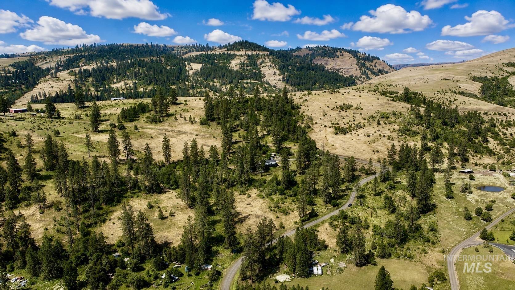 TBD Lacey Road, Stites, Idaho 83552, Land For Sale, Price $119,900,MLS 98991207