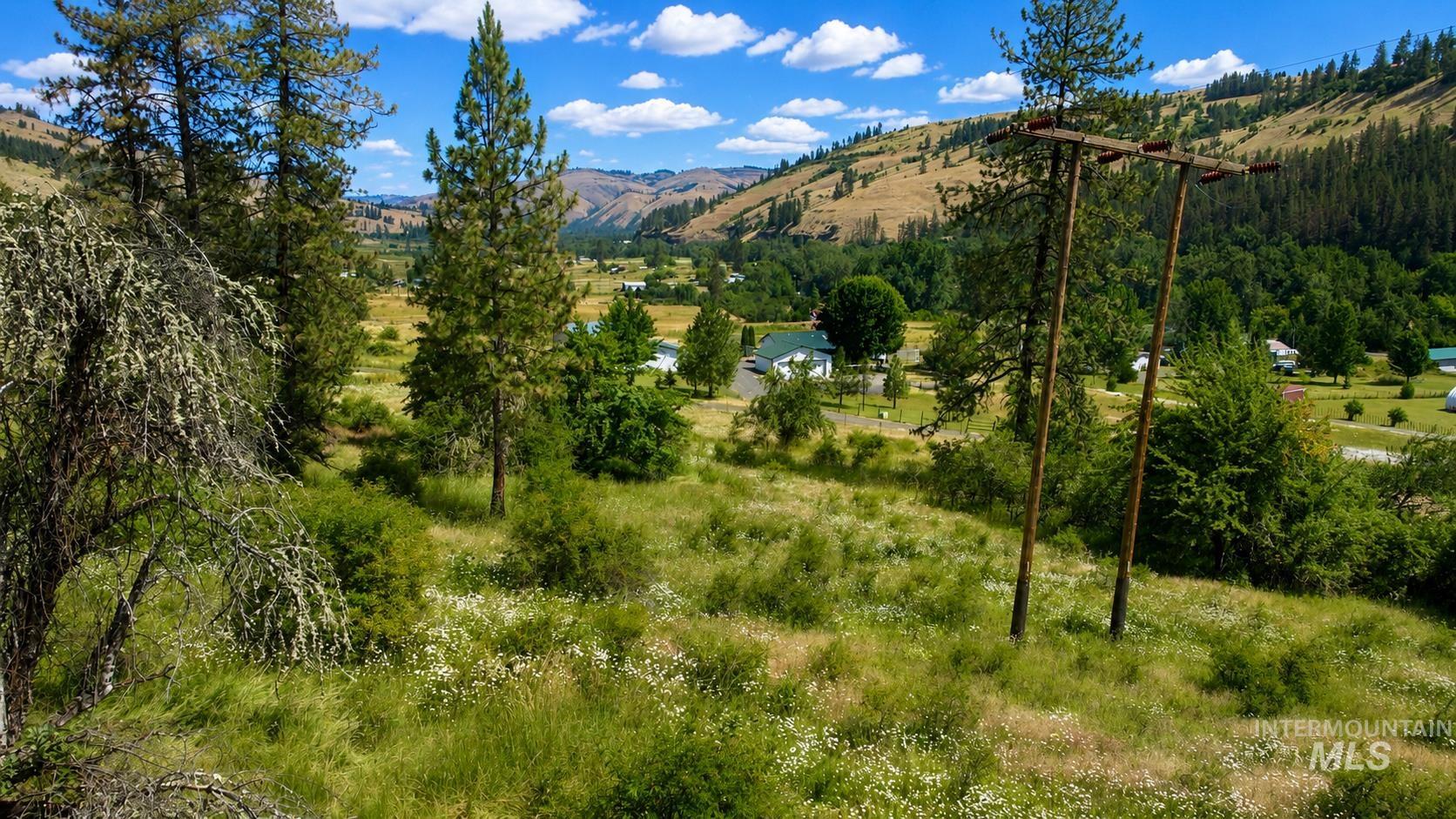 TBD Lacey Road, Stites, Idaho 83552, Land For Sale, Price $119,900,MLS 98991207